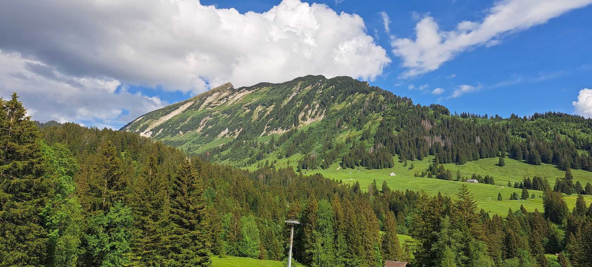 Ein letzter Blick zurück