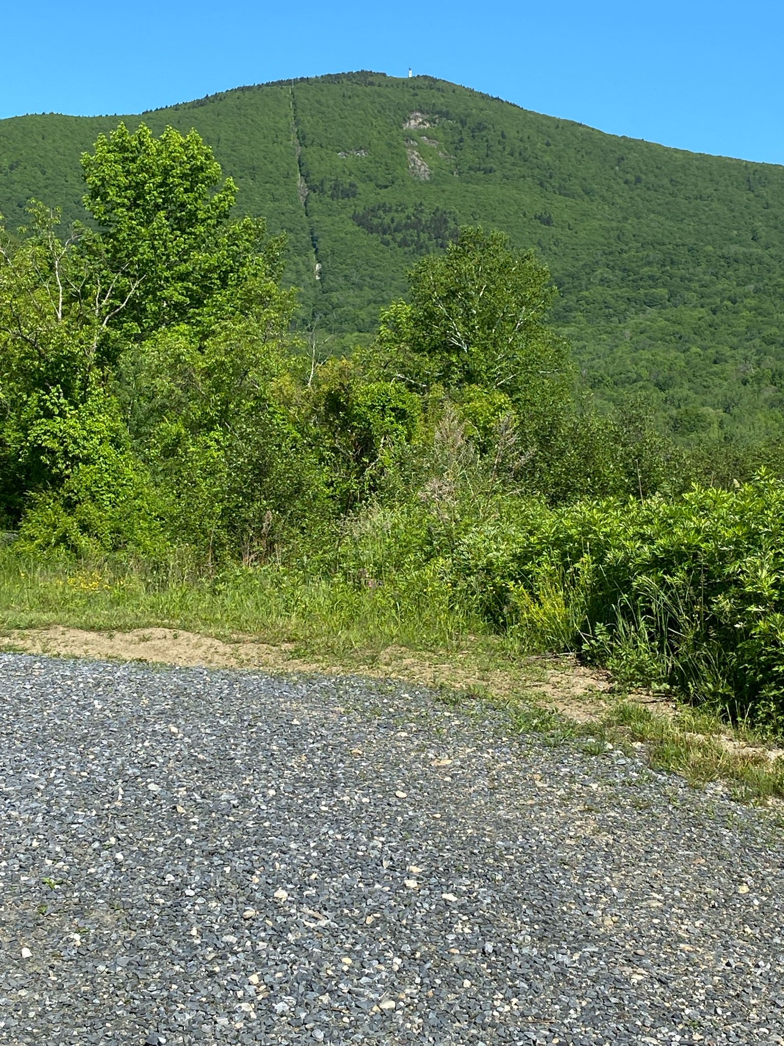 Gravel foreground leading to lush green trees and a distant mountain. - Glen Meadow Loop