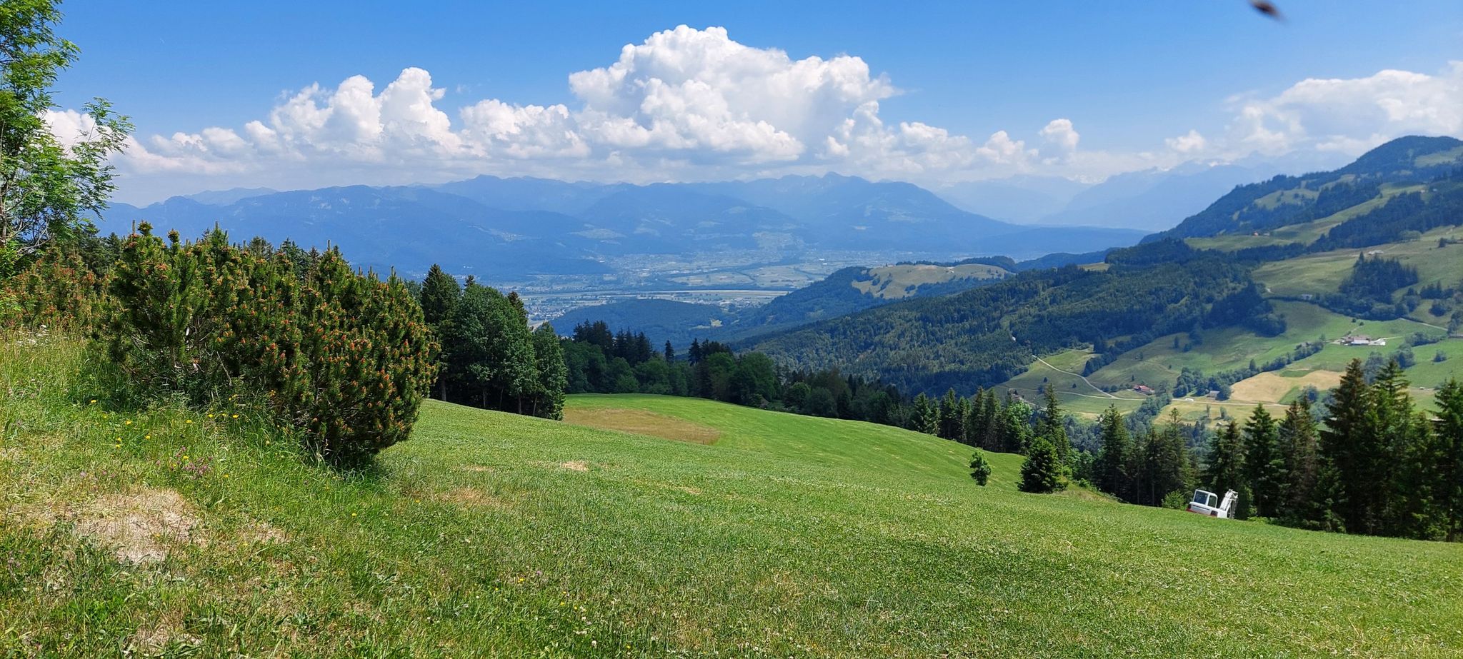 Blick ins Rheintal