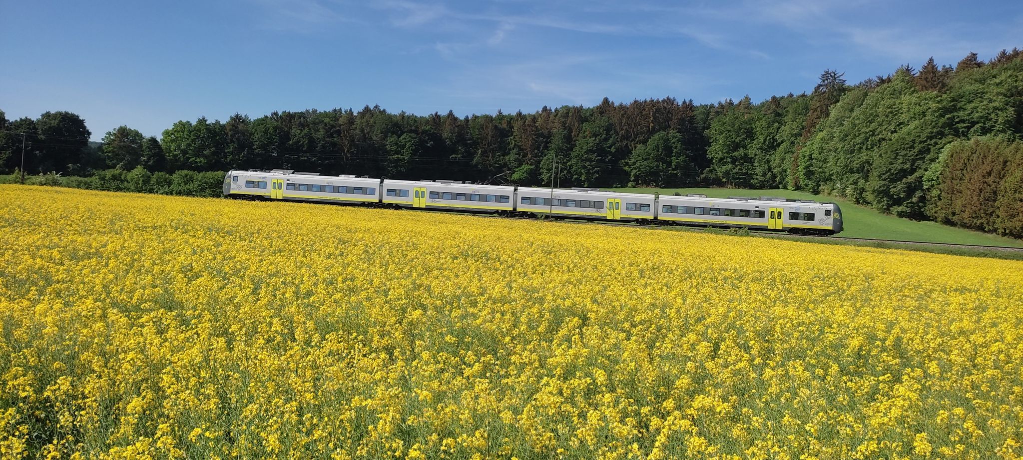 Agilis Zug auf der Bahnstrecke Nürnberg - Regensburg - Mausheim