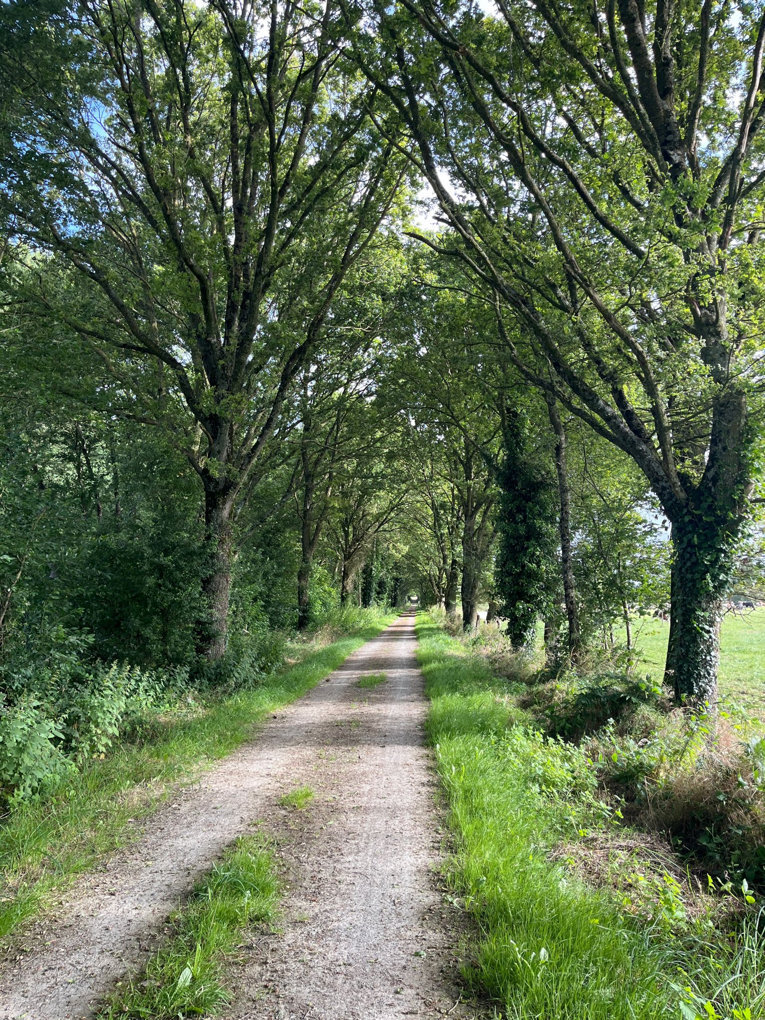Voie verte de la Mayenne.