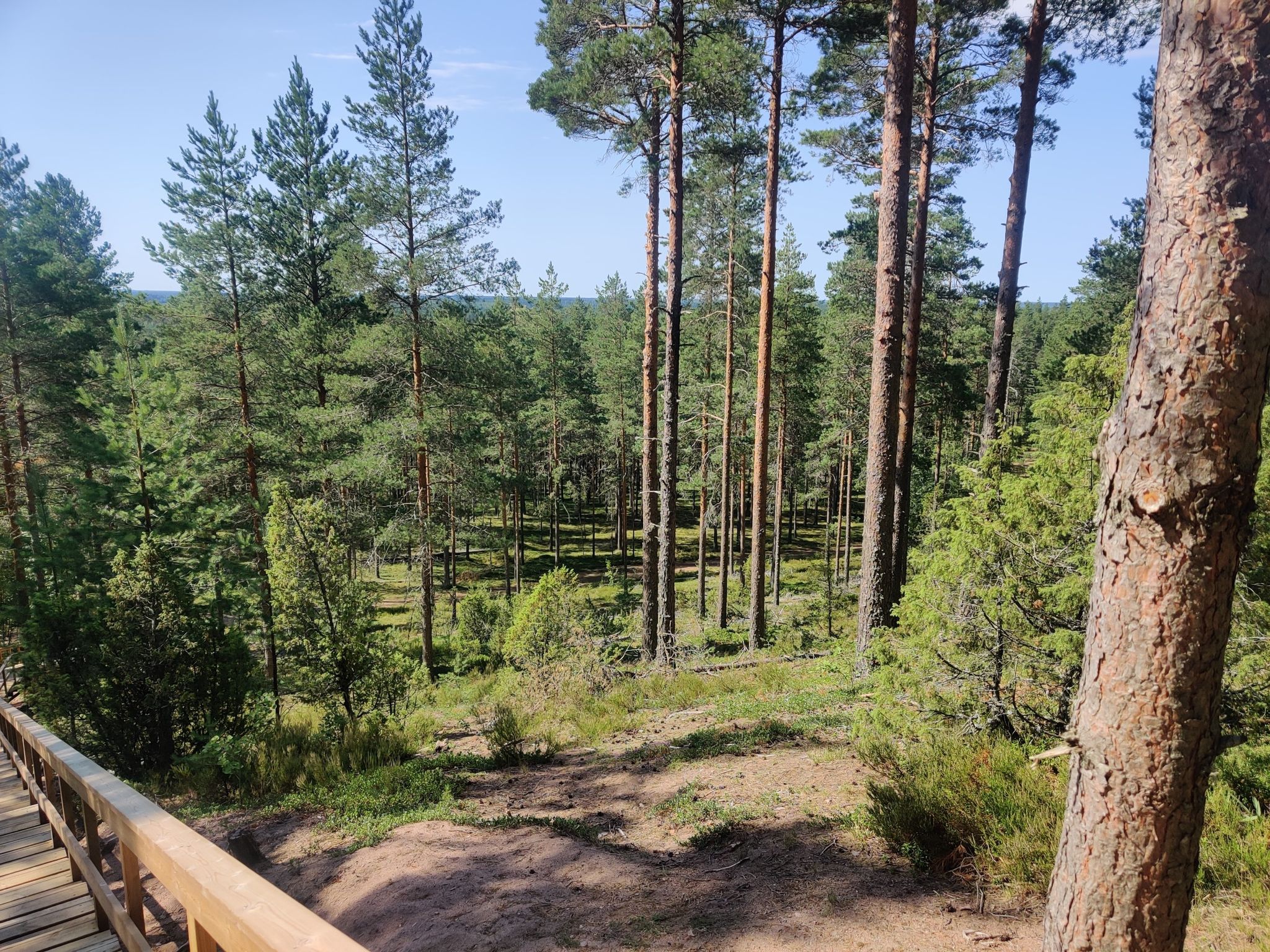 porsaanharju