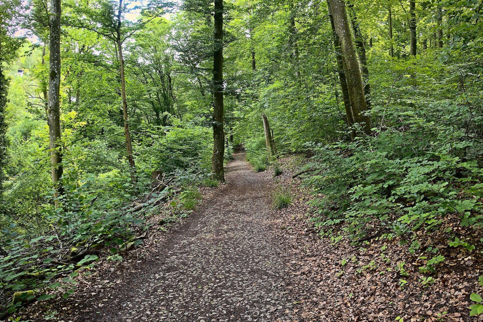 Die Abfahrt durch das malerische Steinbachtal ...