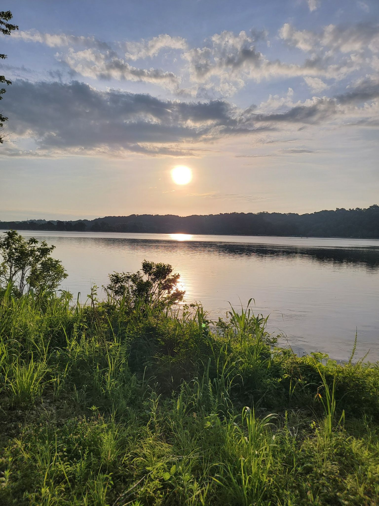 Sunset over a wide river, with lush green vegetation in the foreground. - Katy Trail and Creve Coeur Lake Loop