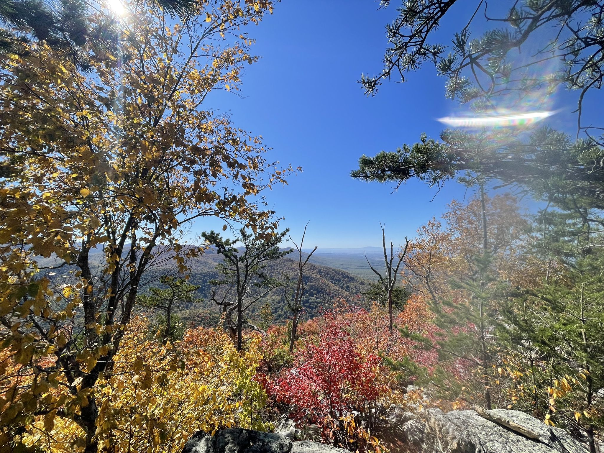 Sunny mountain vista with vibrant autumn foliage and distant peaks. - Rocky Mount Trail