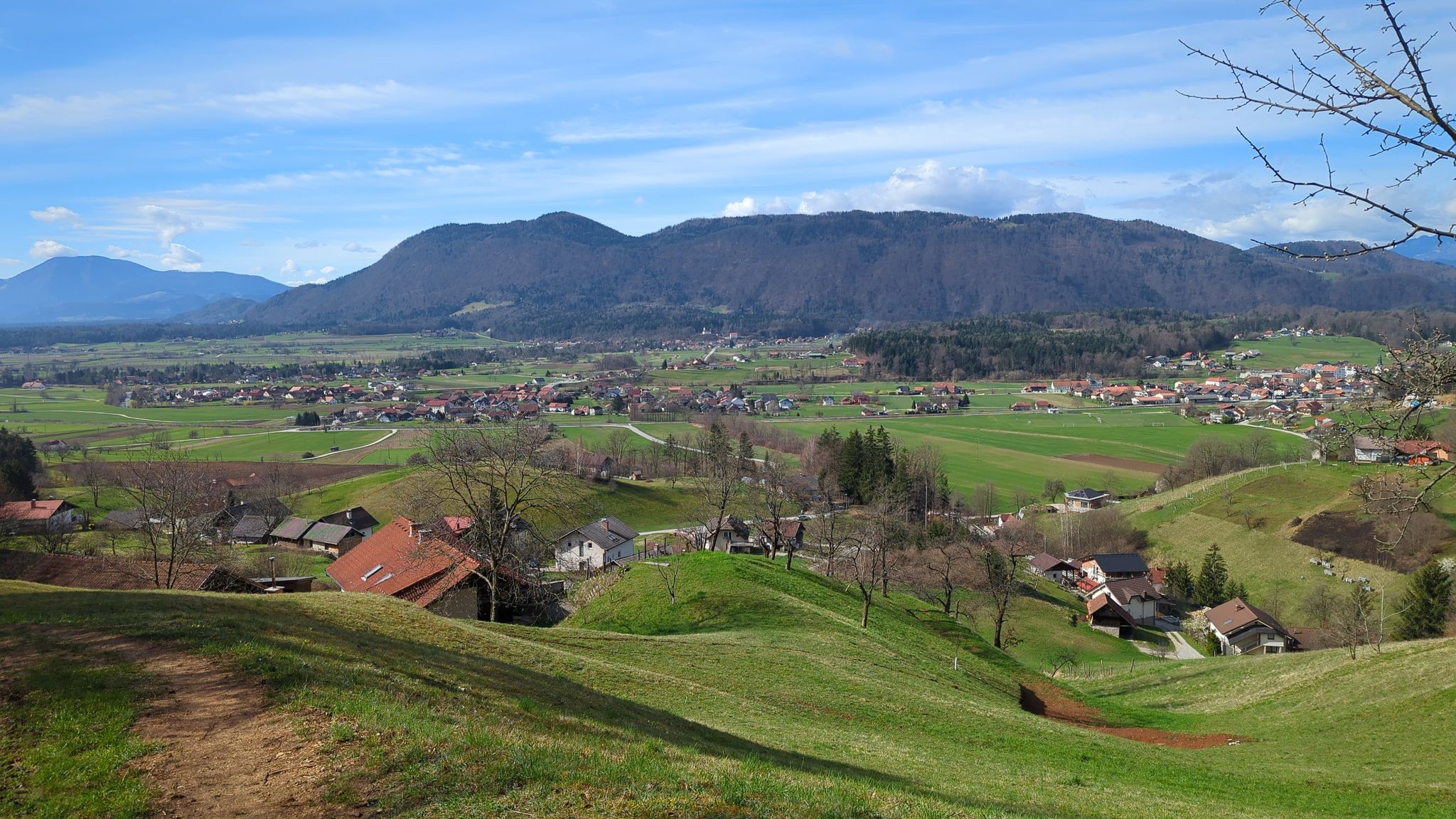 Gora Oljka