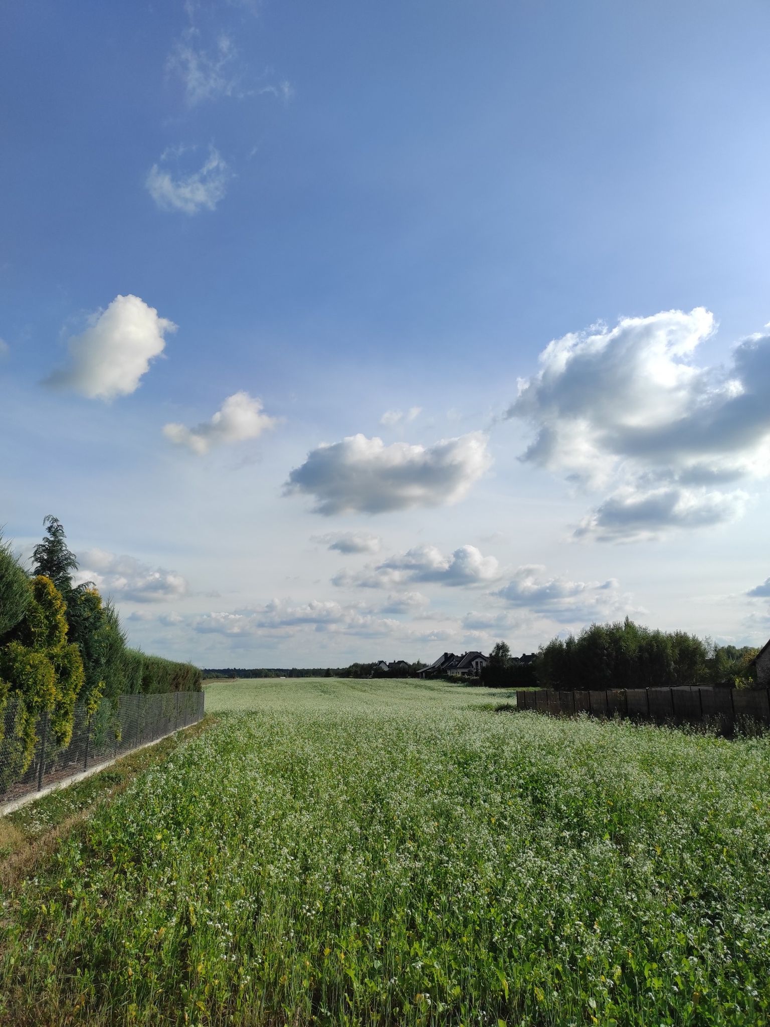 nice view