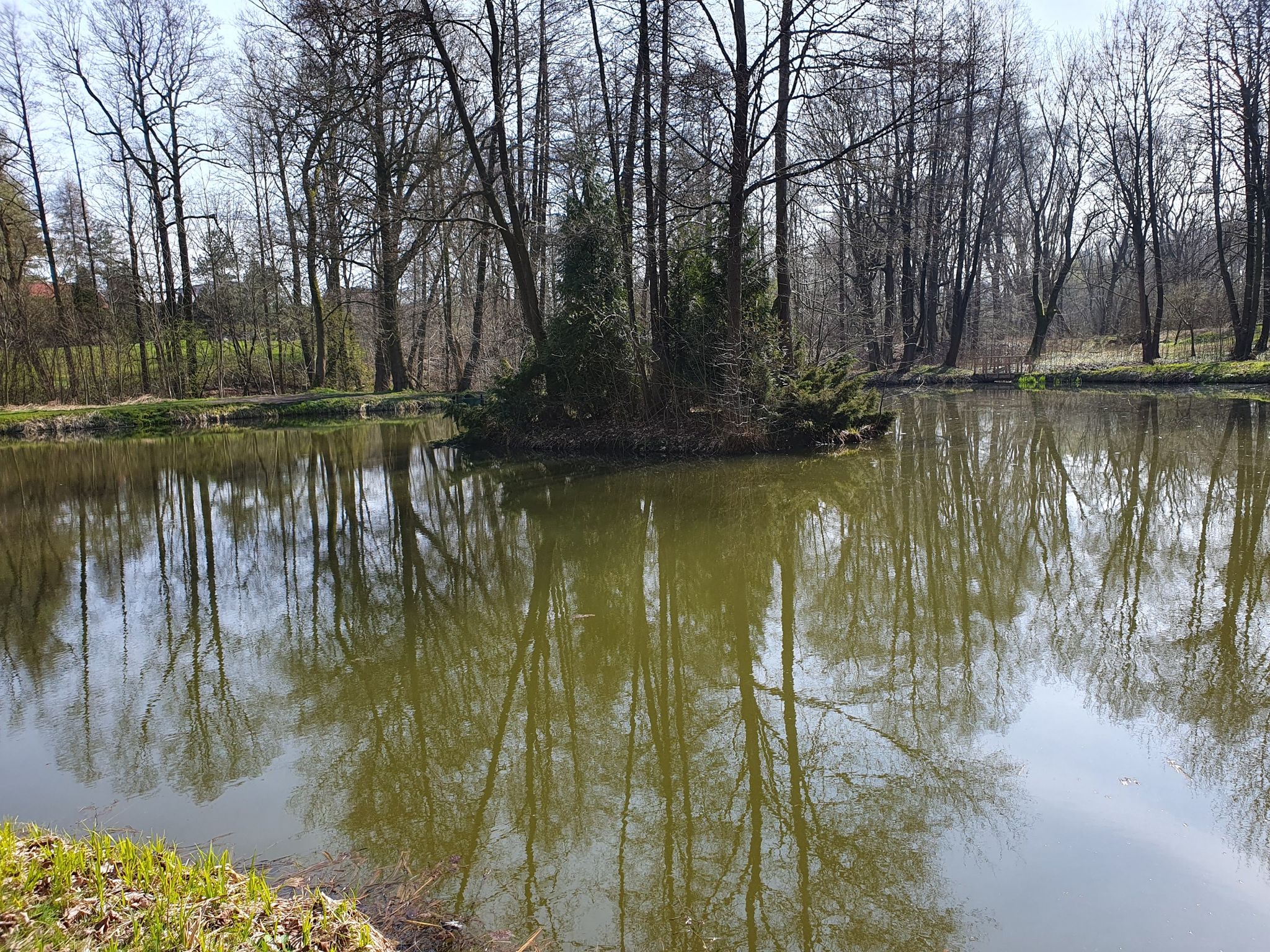Park Mokre