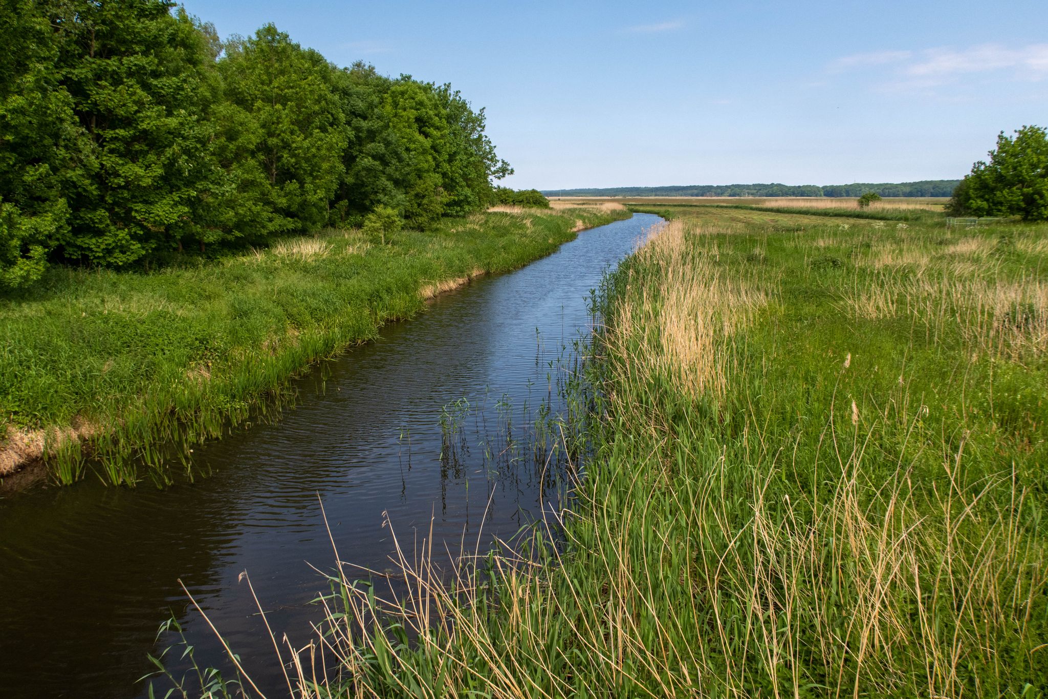 Die Recknitz bei Bad Sülze.