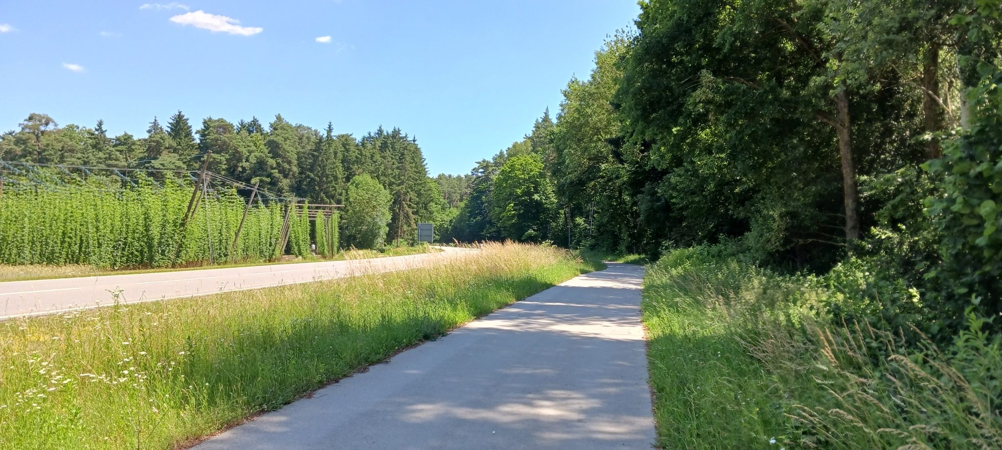 Radweg neben der B299 - zw. Mühlhausen u. Siegenburg