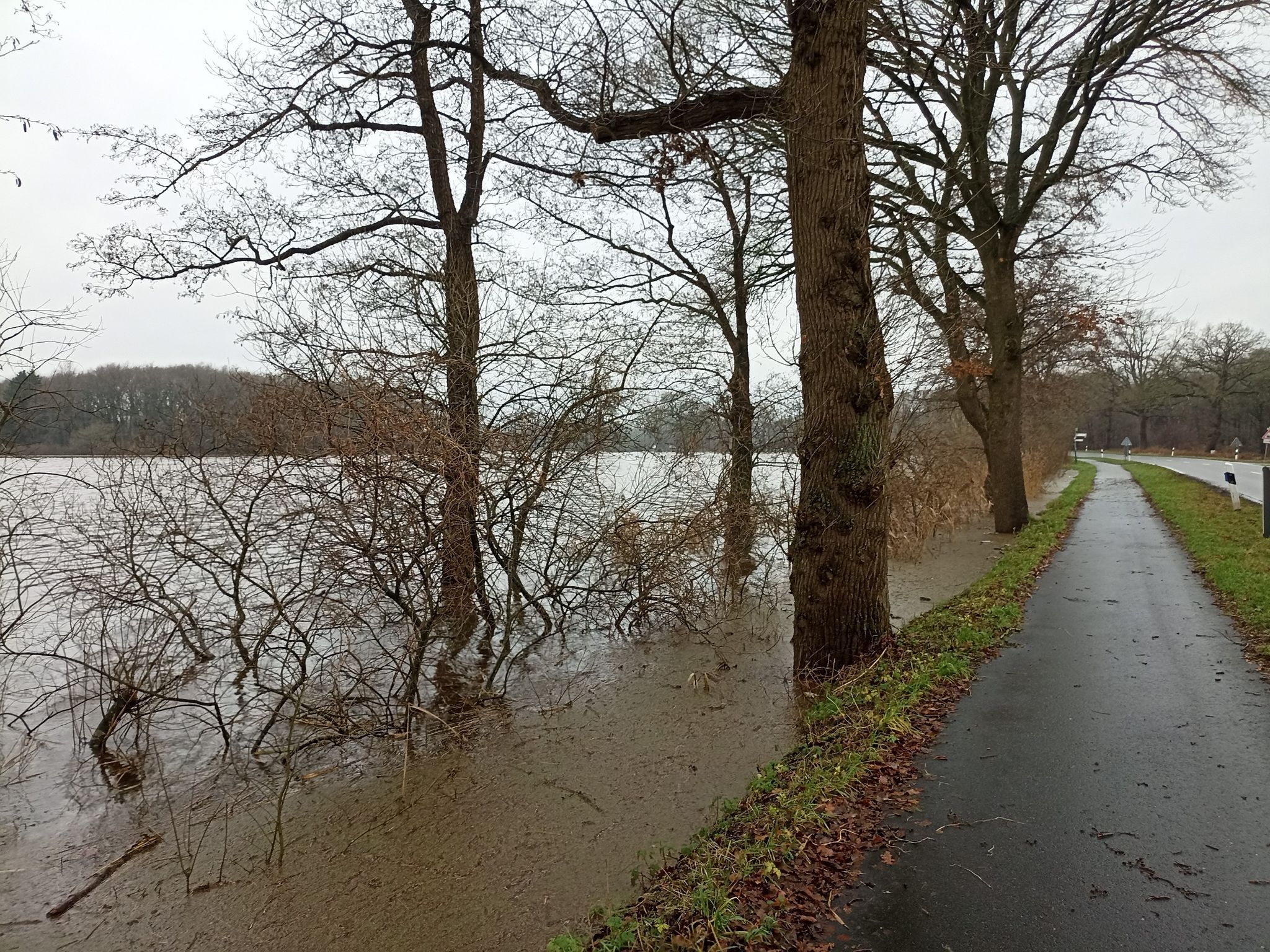 viel fehlt nicht, dann ist die Straße überspült