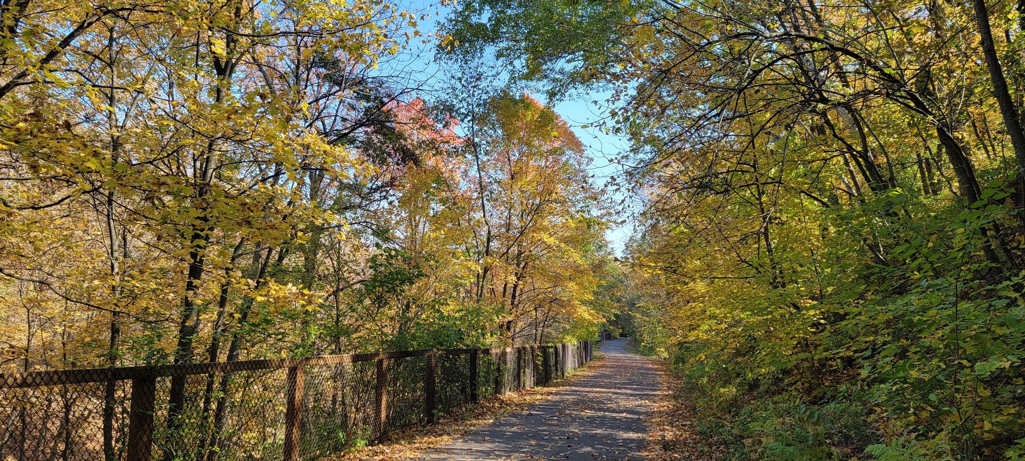 Dirt path through vibrant autumn trees with a fence, sunny. - Scenic overlook – Lake McKusick loop from Stillwater