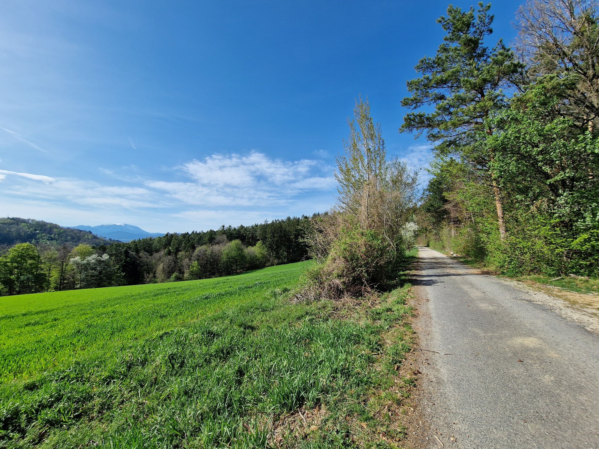 Weiter Richtung Pitten