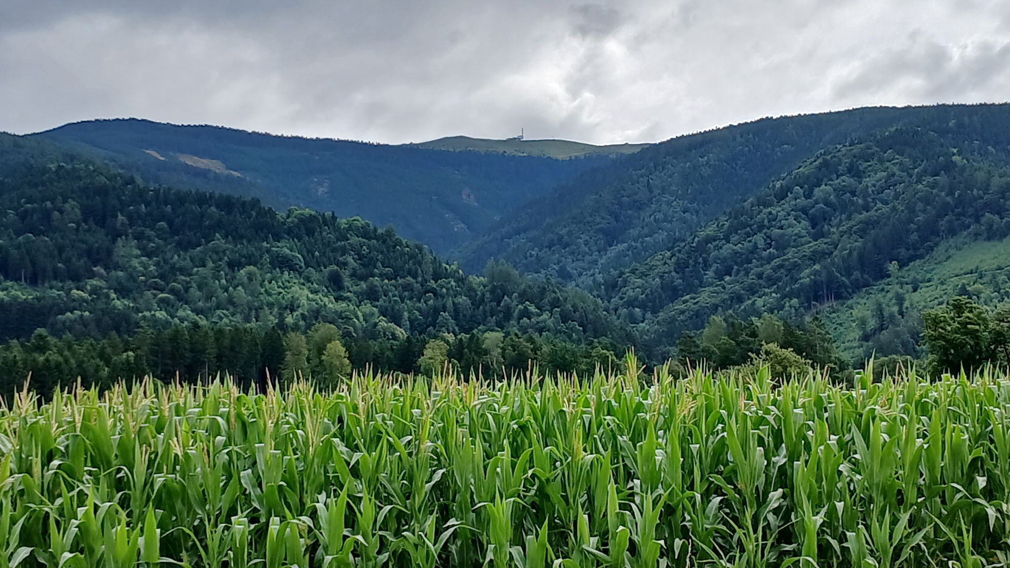 Koralpe