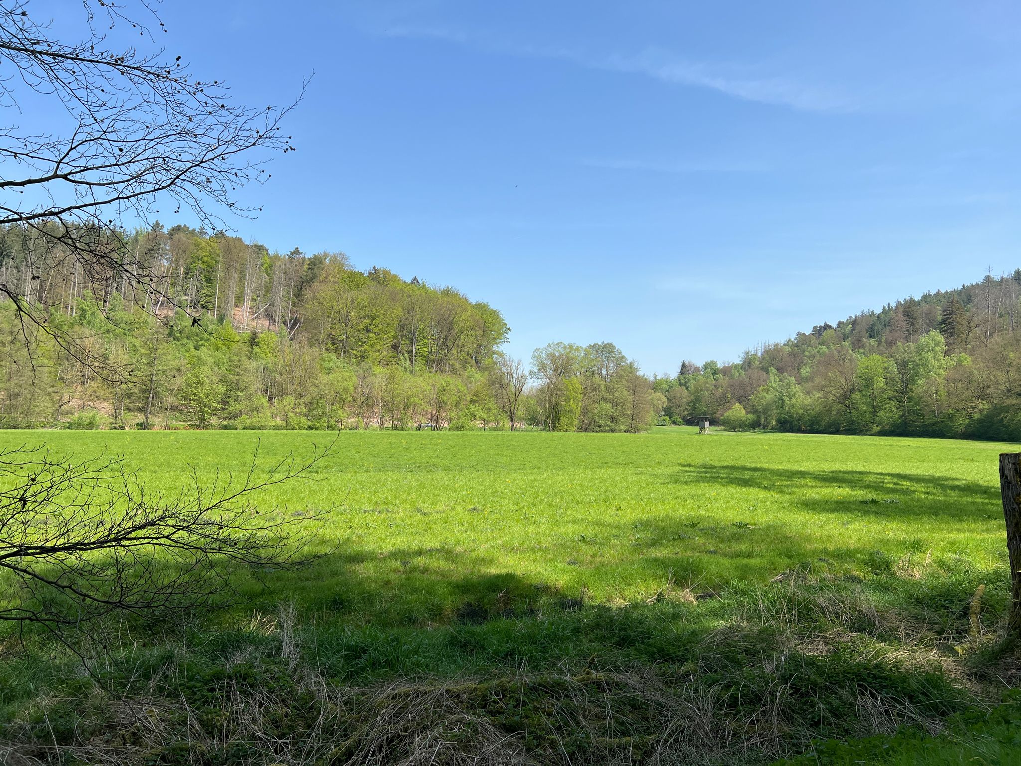 Niestetal