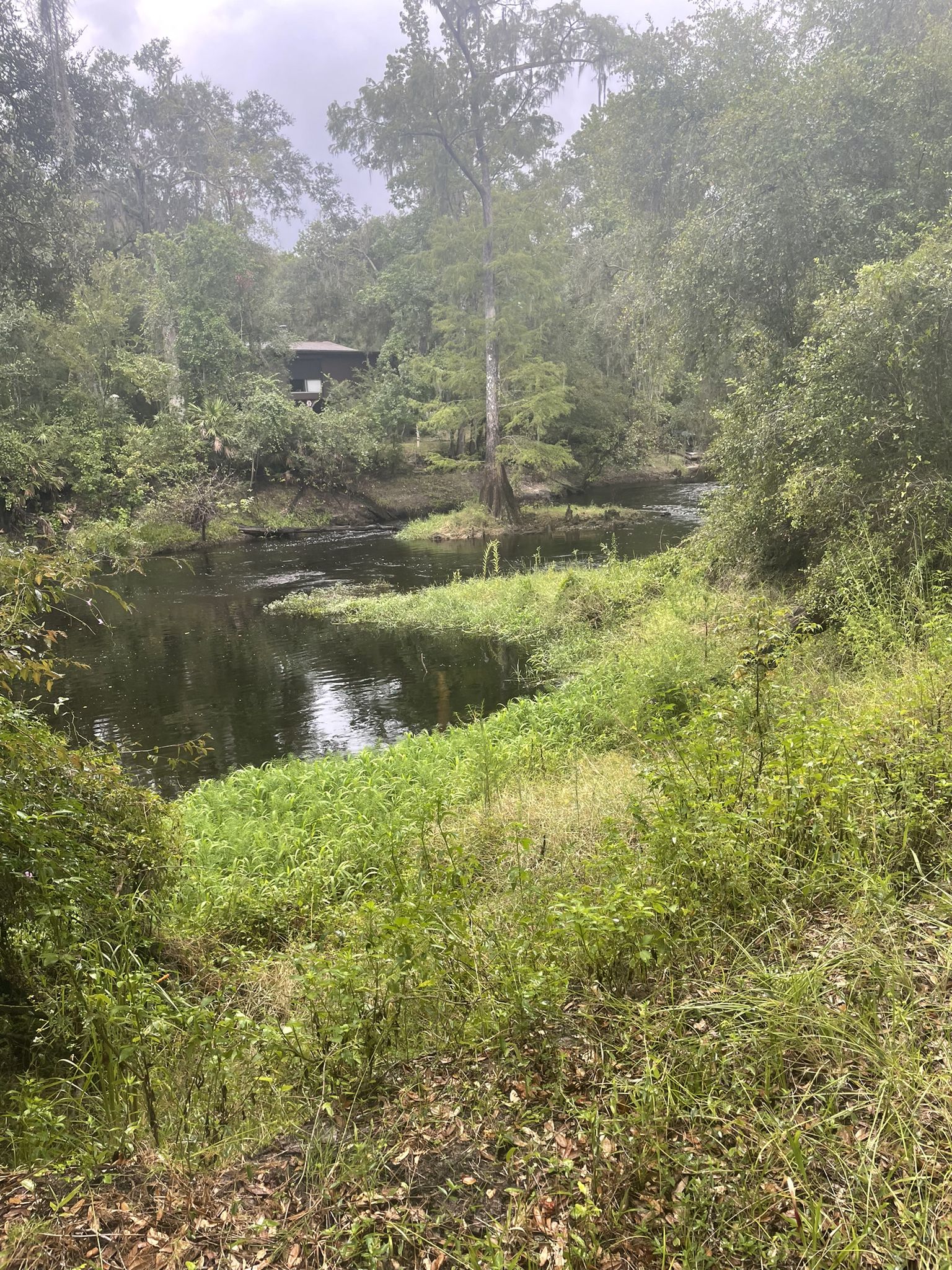 Overcast view of a winding river surrounded by dense green forest. - Croom River Trail