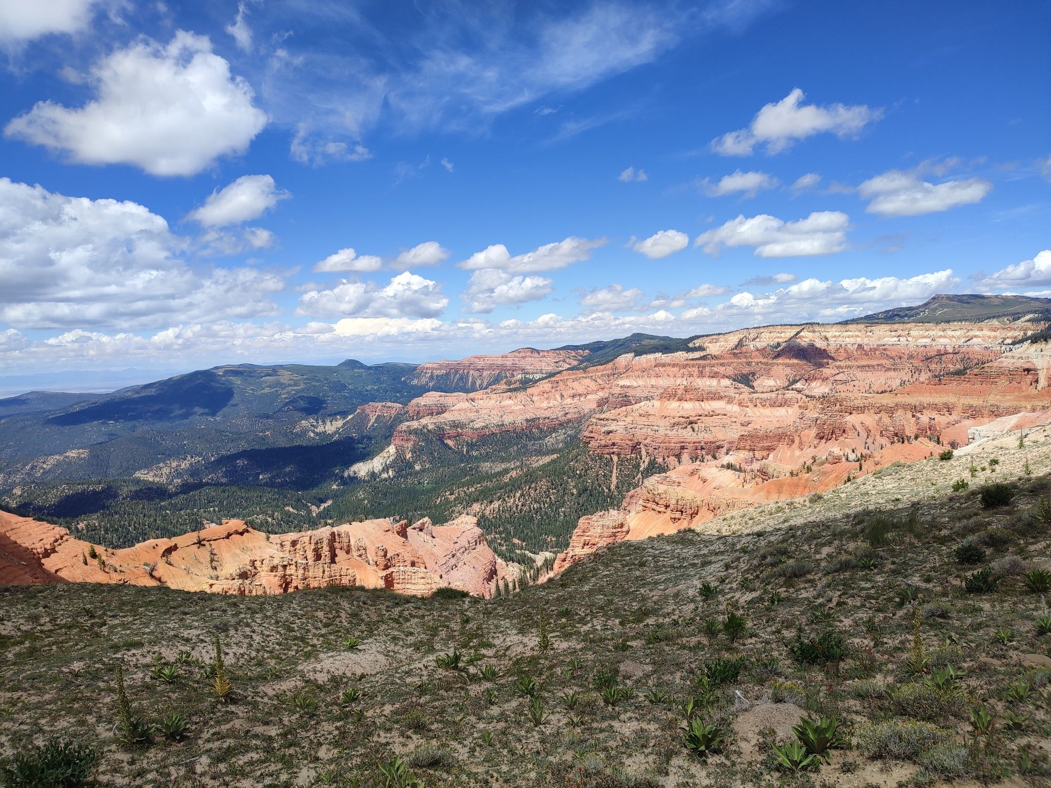 Expansive canyon landscape with red cliffs and green forests under a blue sky. - South Rim Trail