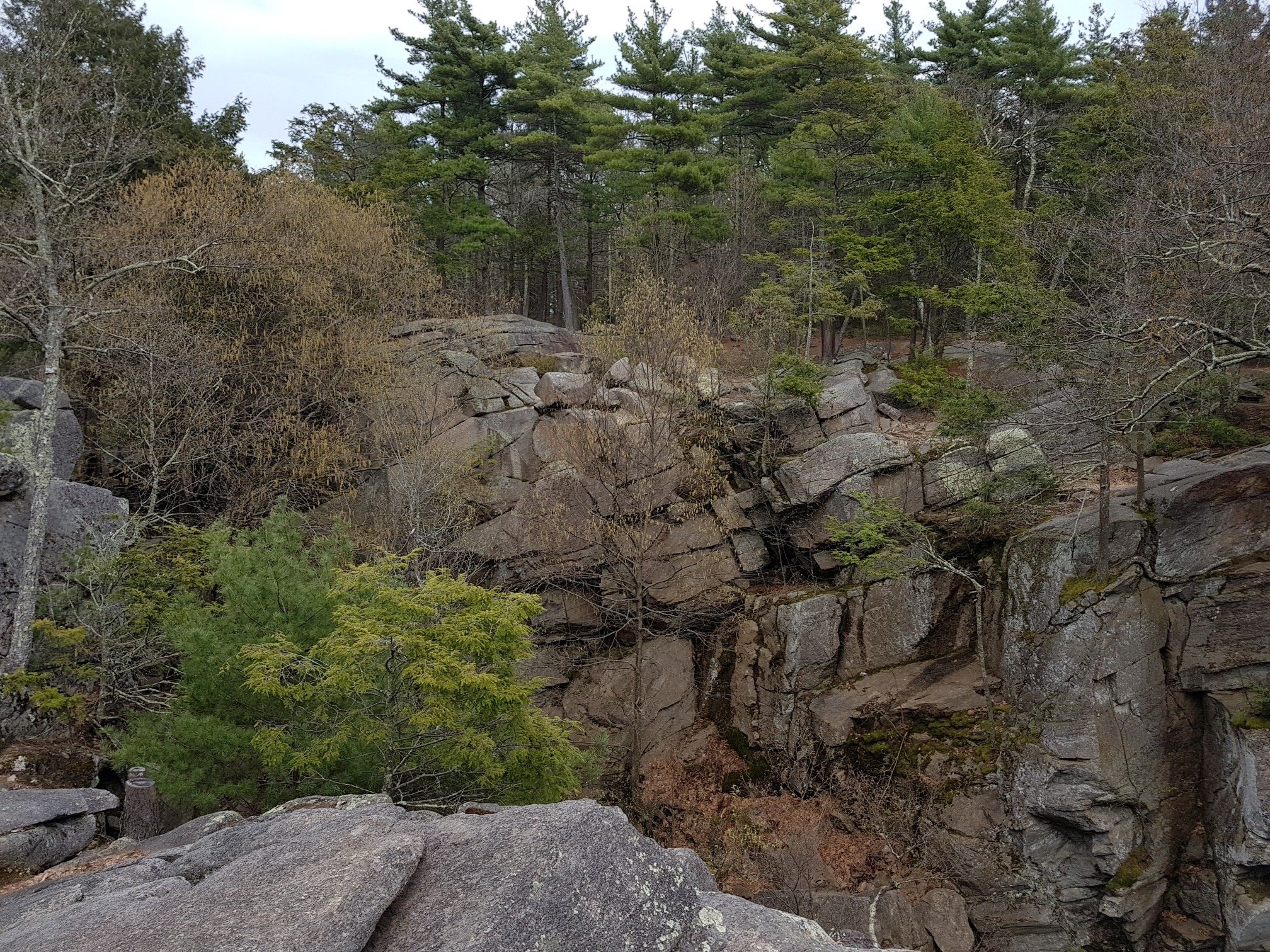 Rocky cliffs covered with pine and deciduous trees under diffused light. - Charley's Loop Trail