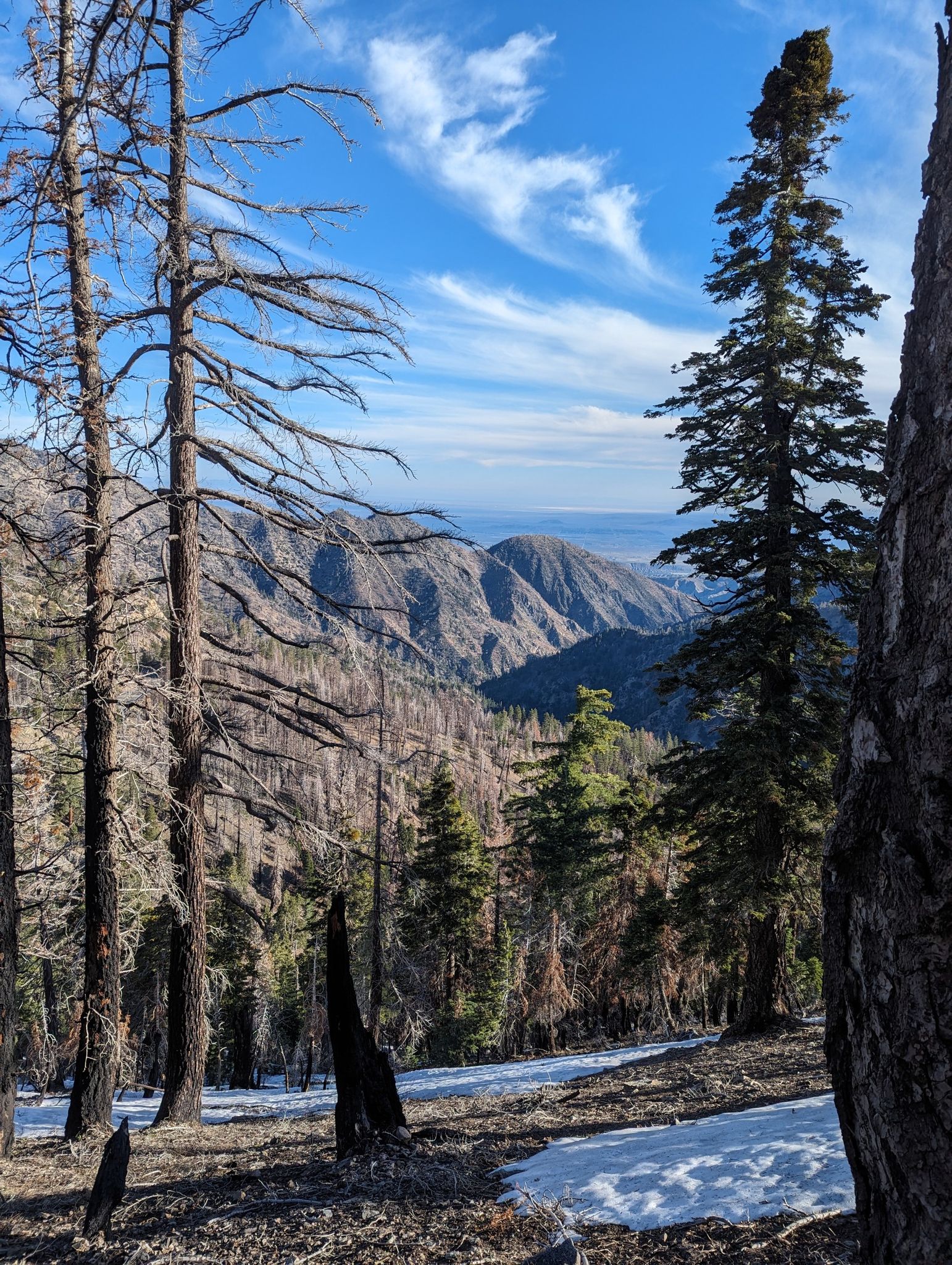 Burnt forest with snow patches overlooking a vast mountain range on a sunny day. - PCT: California Section D