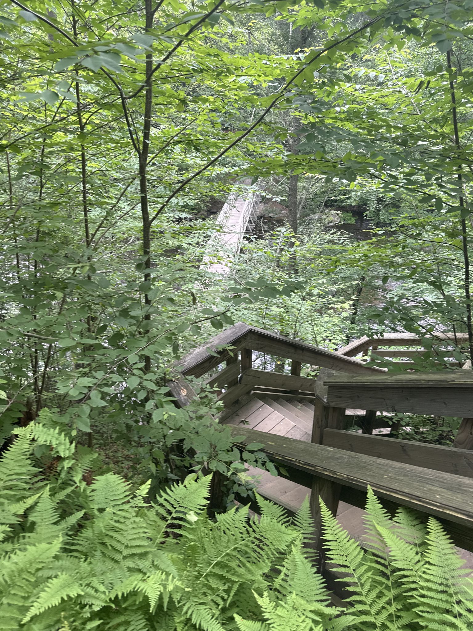 Wooden stairs descend into a lush green forest with a distant bridge. - Two Bridges Loop via Bee Brook and Presidents Trail