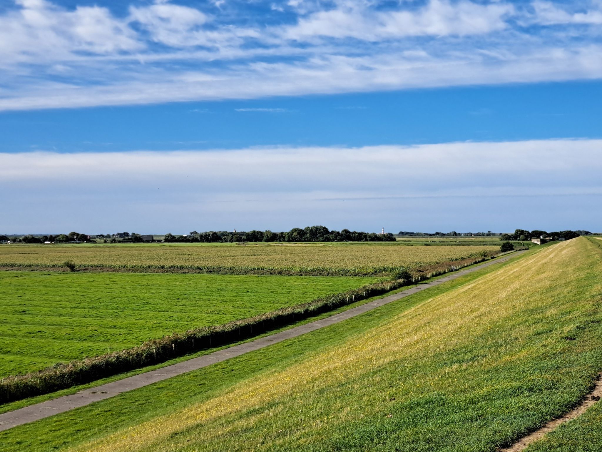 Blick zum Westerhever