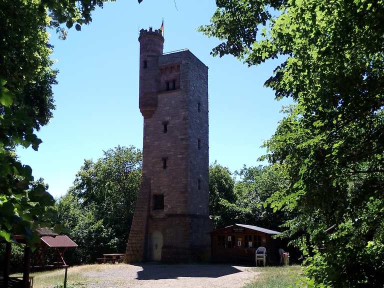 Gipskarstlandschaft Questenberg 6 ♟ + 1 S ♟ | Mountainbike-Tour | Komoot