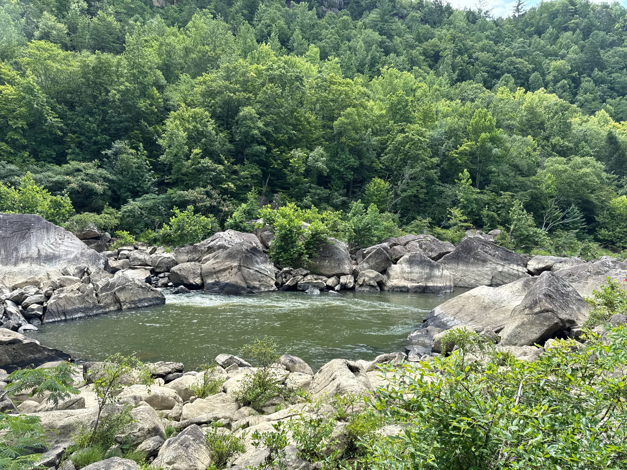 River with rapids flowing between large rocks, surrounded by green forest. - Blue Heron Loop Trail