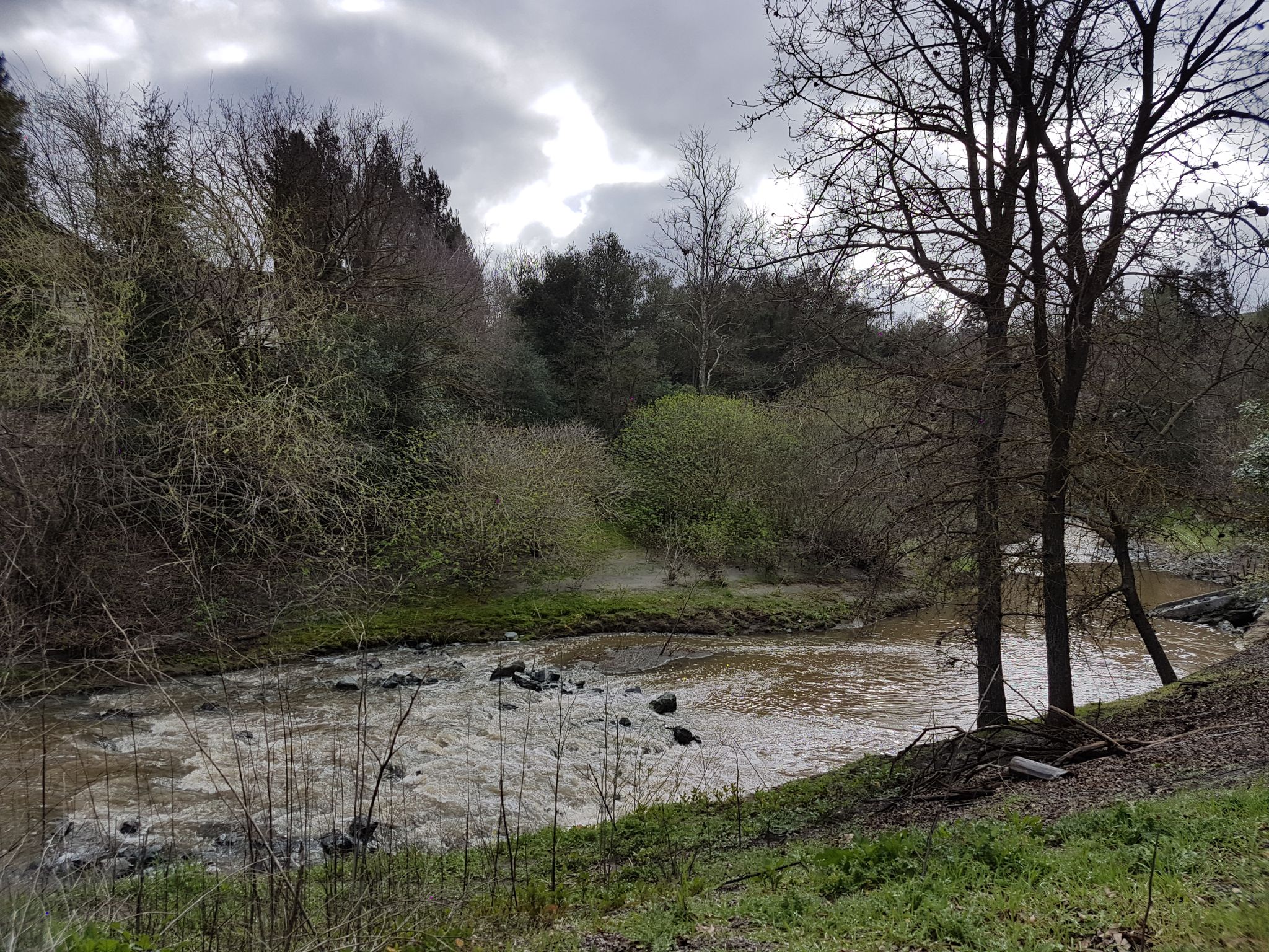Muddy river flowing through a wooded area under an overcast sky. - Dublin City loop from Federal Correctional Institution, Dublin
