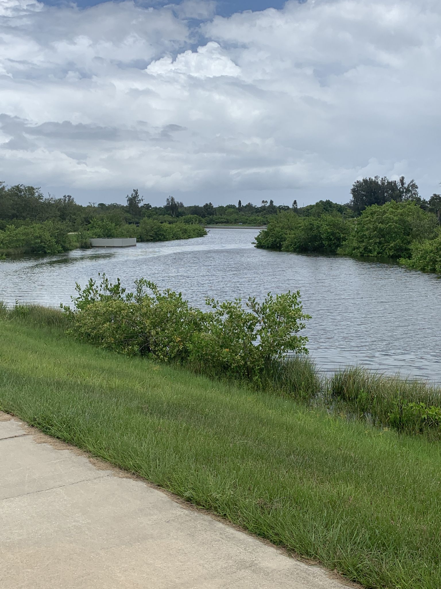 Winding river surrounded by lush green vegetation under a cloudy sky. - Demens Landing Park – Clam Bayou Nature Preserve loop from Gulfport Middle Ground