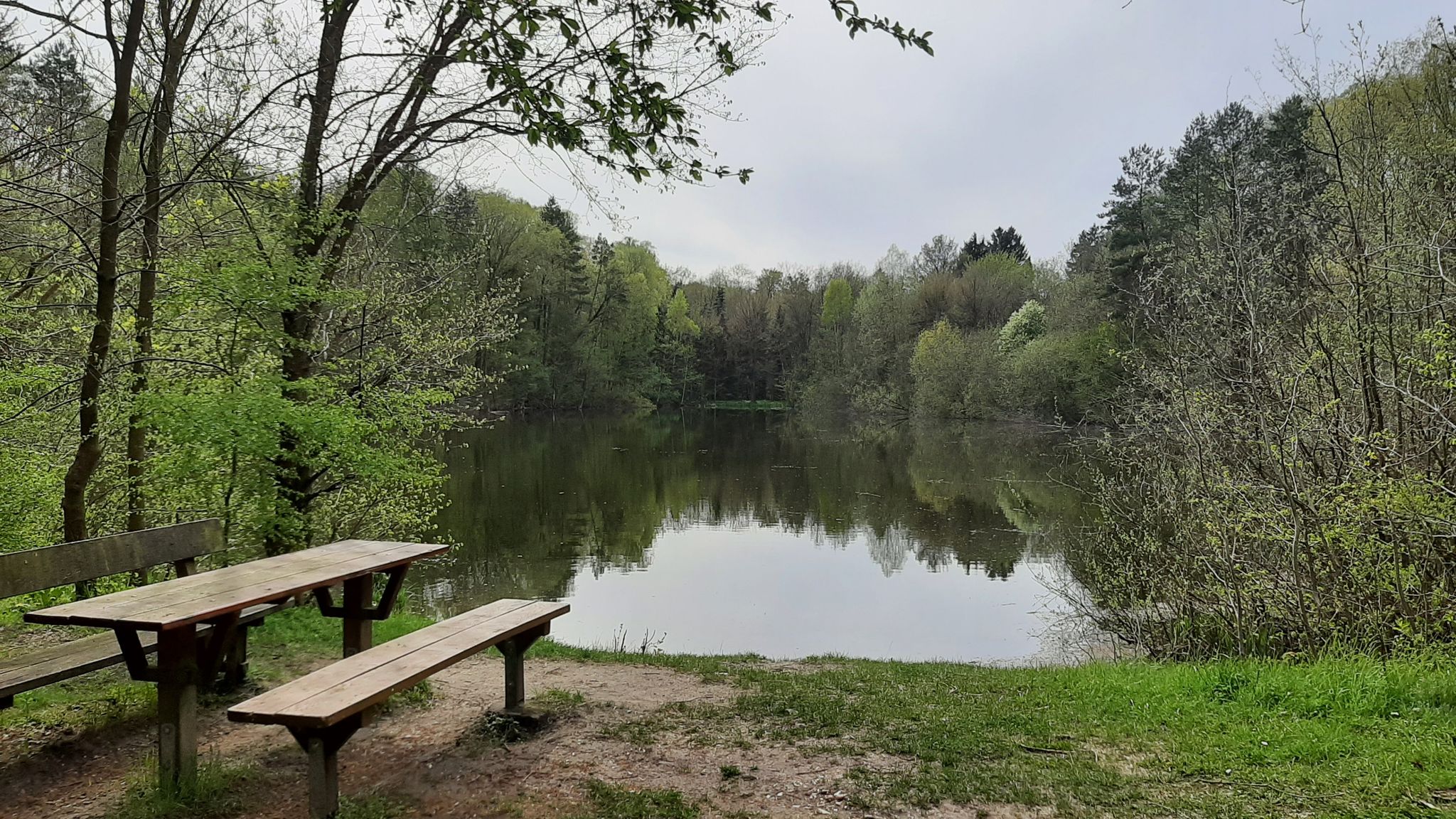 Zernitzer Waldsee