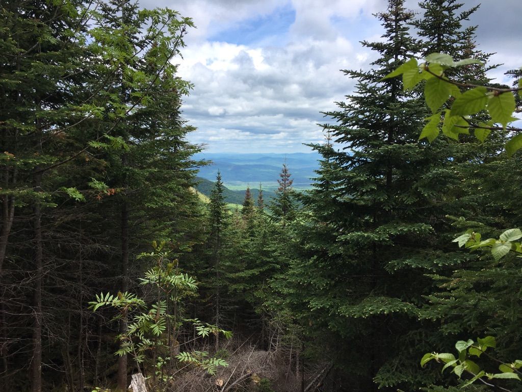 Overcast mountain view through a gap in dense evergreen forest. - South Twin Mountain – Mount Garfield loop from Galehead Mountain
