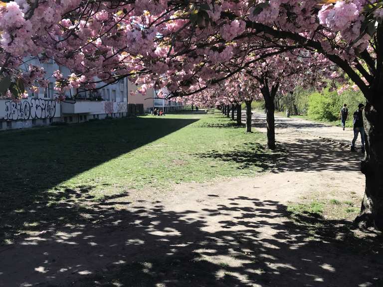 [ Berlin ] Görlitzer Park ehem. Görlitzer Bahn Treptower Park ...