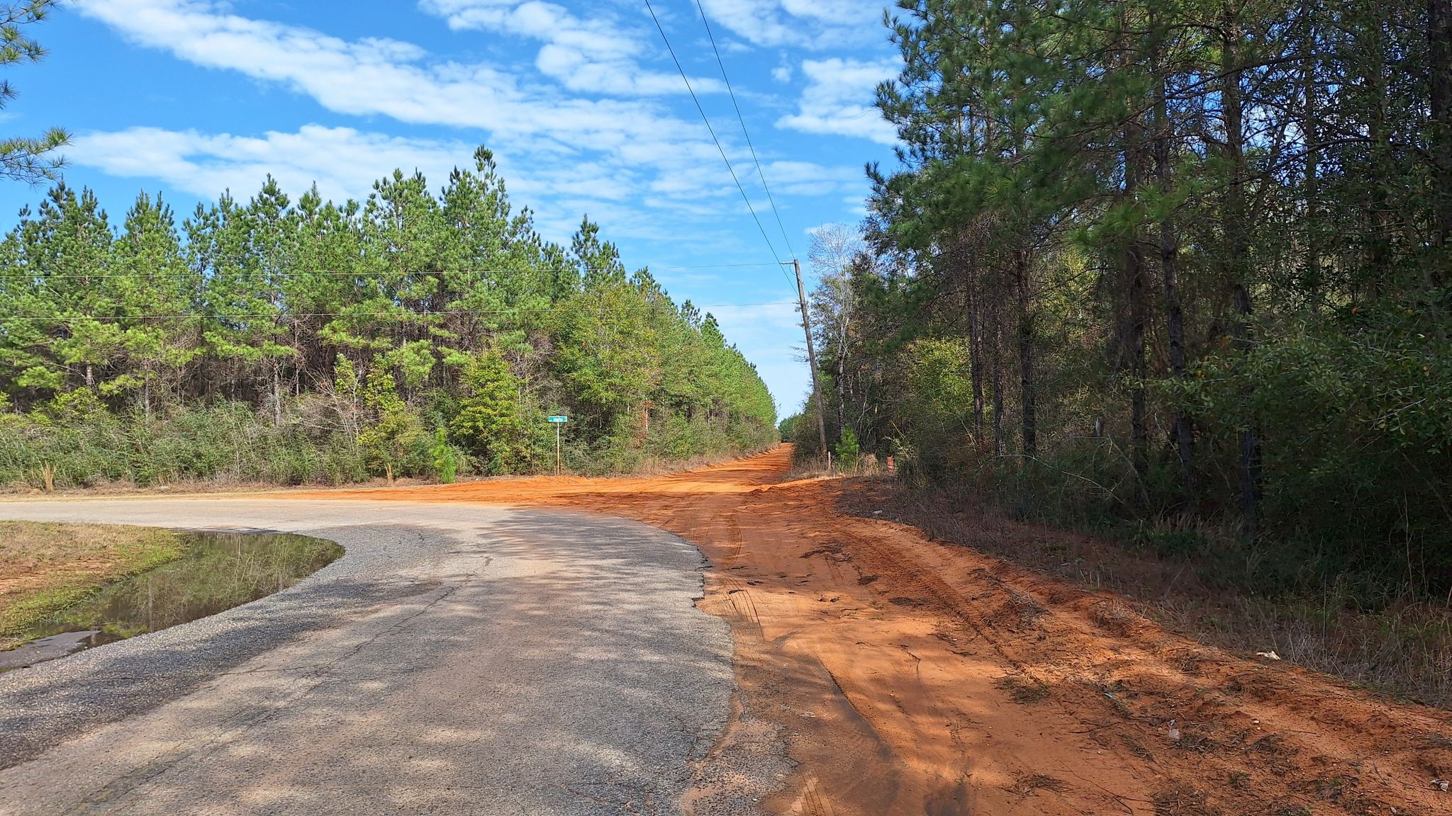 Paved road meets red dirt road, flanked by pine trees under blue sky. - Riverwalk Park – Holt loop from Milton