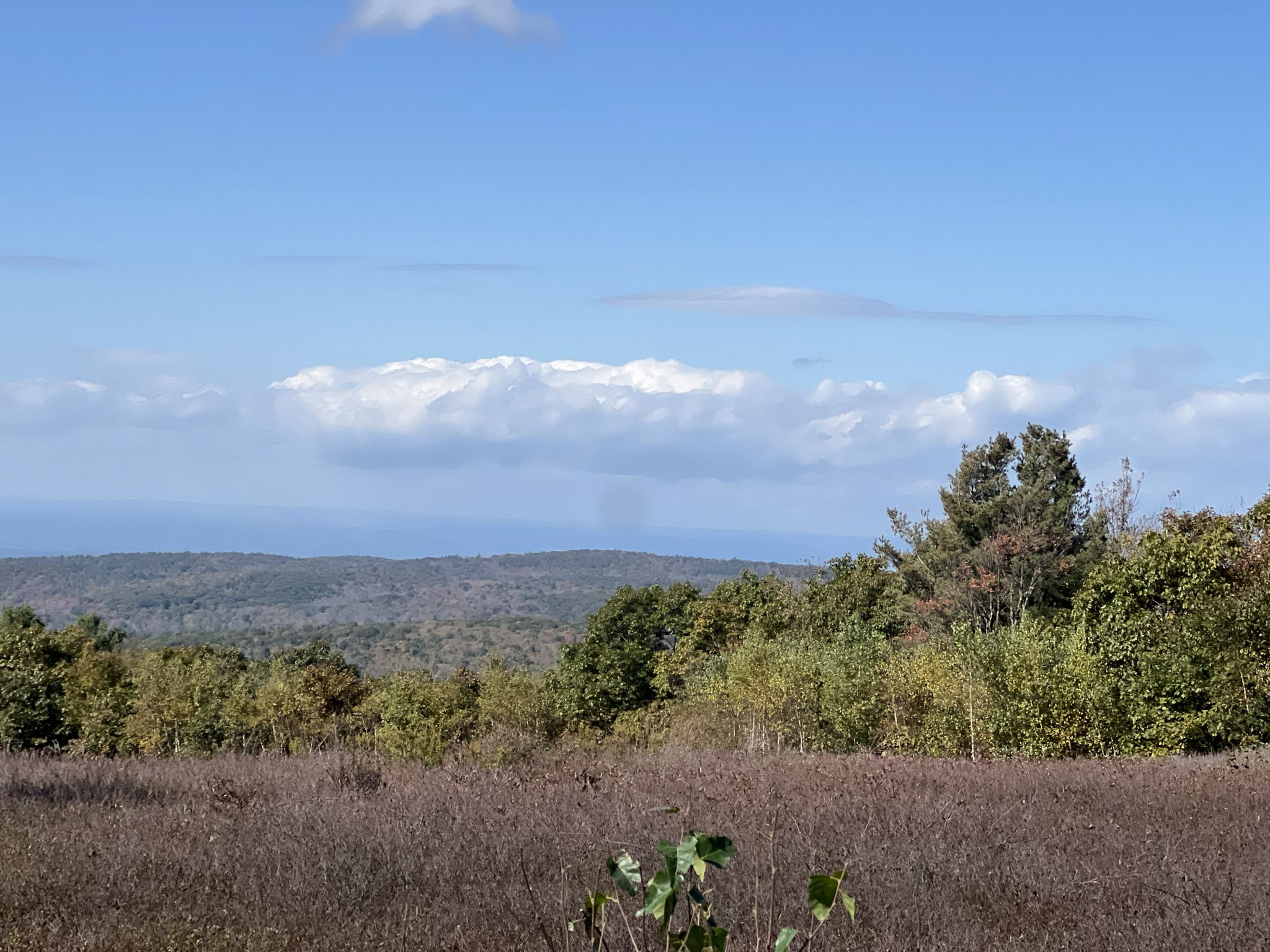 Expansive view of forested hills under a bright, cloudy sky. - Harvey Mountain and Pinnacle Point Loop