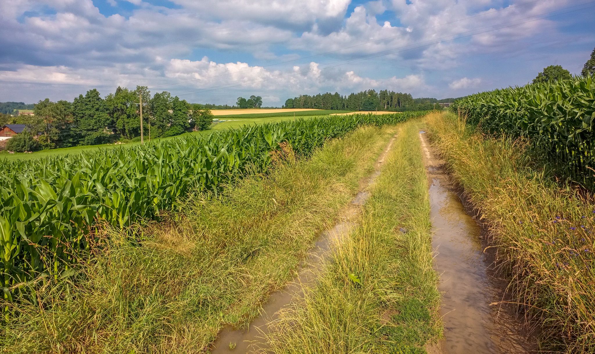 Wege unter Wasser
