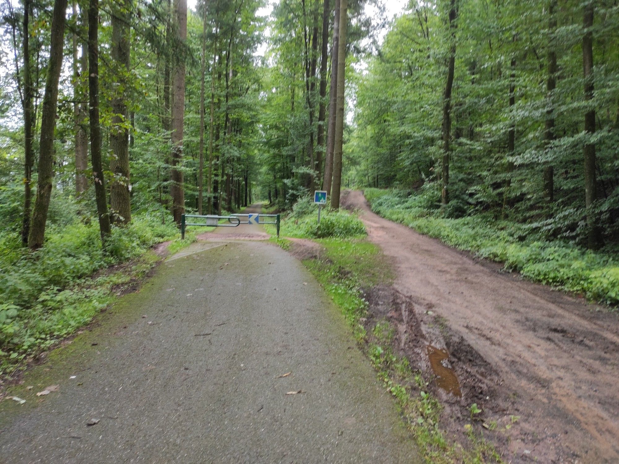 Piste Cyclable 