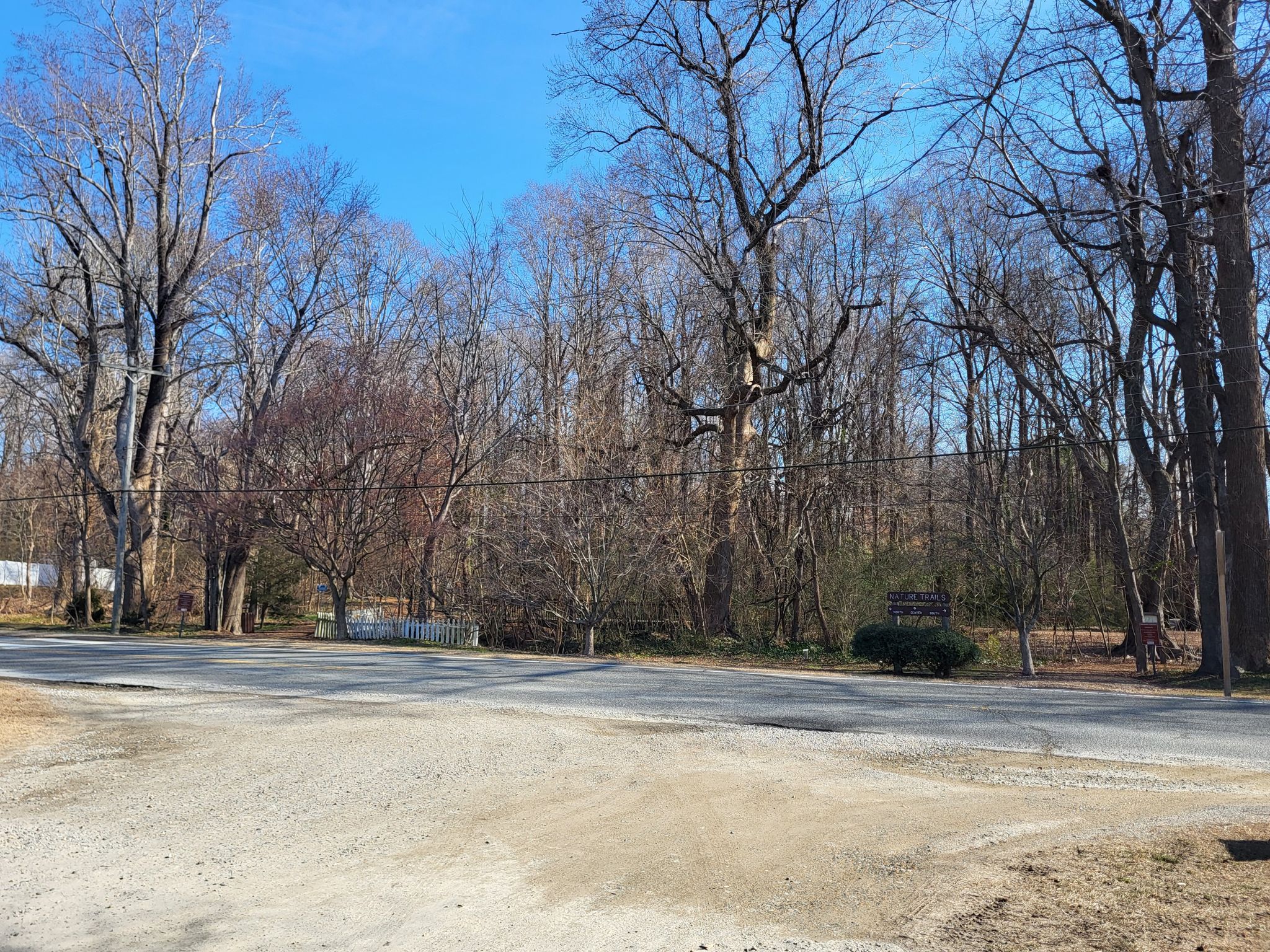 Gravel road leading to a dense forest of bare trees under a clear sky. - Chesapeake Arboretum North Loop