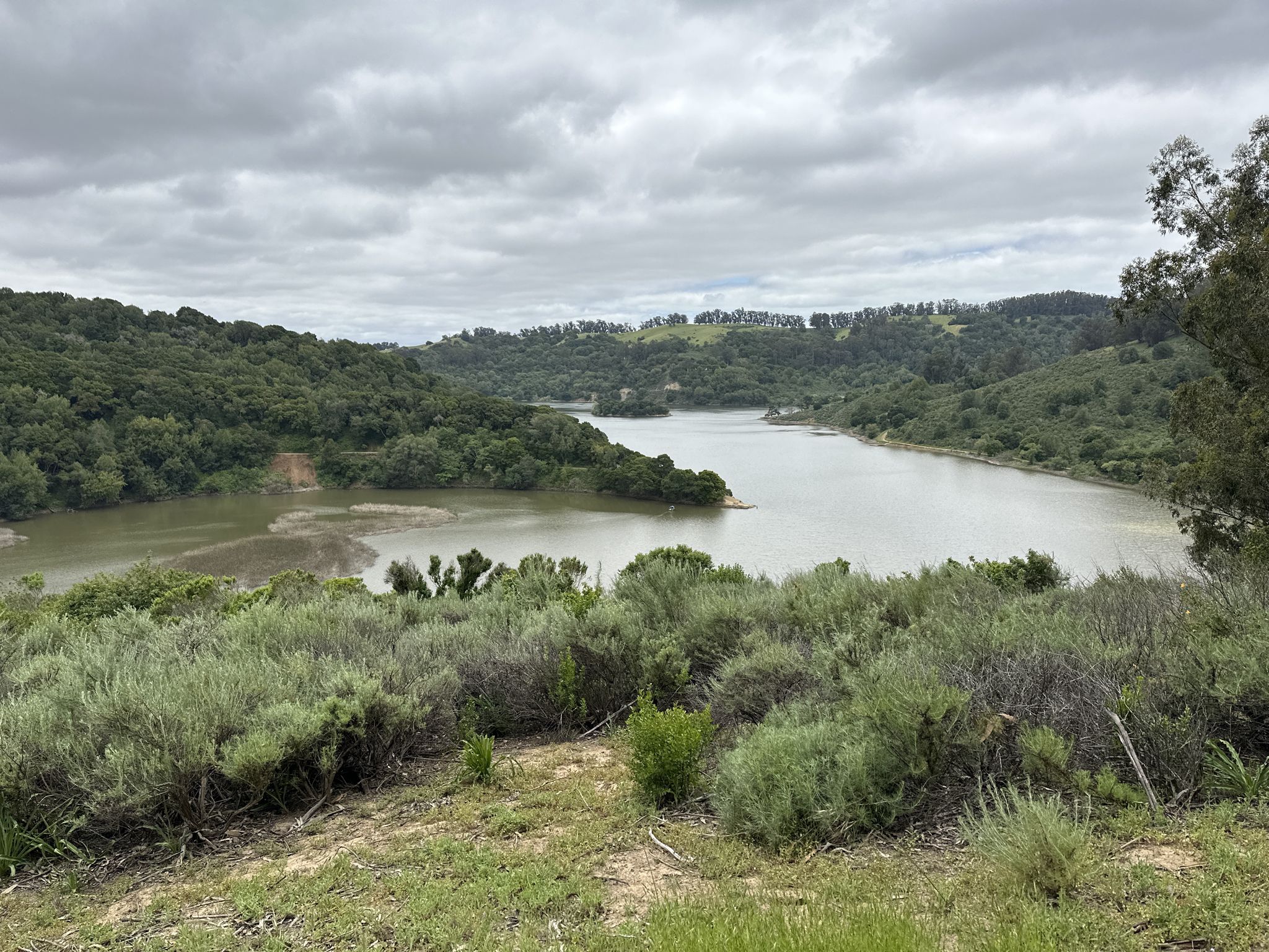 A wide lake surrounded by green, forested hills under a cloudy sky. - Lake Chabot Marina – Honker Bay Trail loop from Lake Chabot - Main Entrance