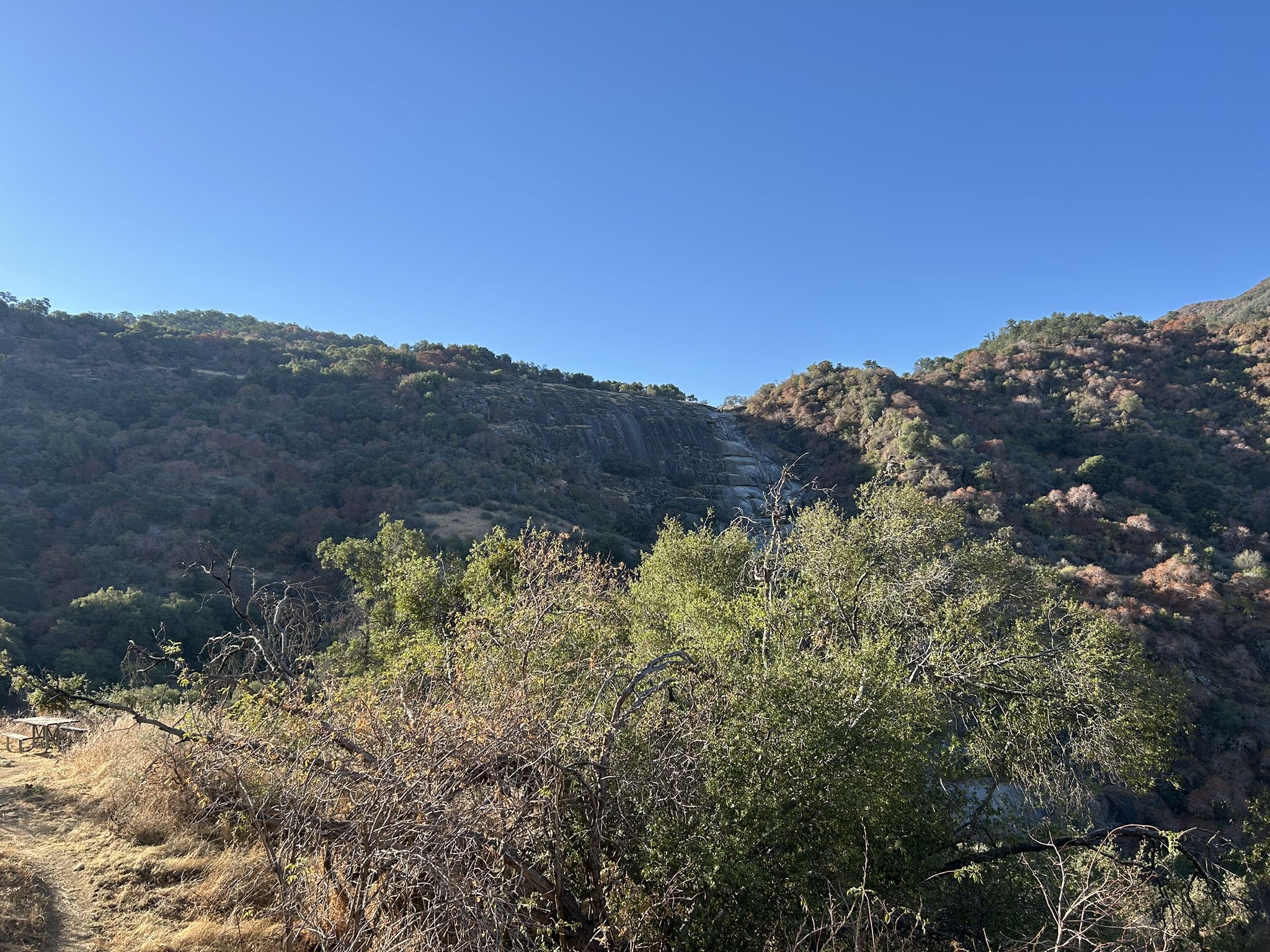 Distant waterfall on a brush-covered hillside under a clear blue sky. - Skyline Loop and Salt Creek Falls Trail