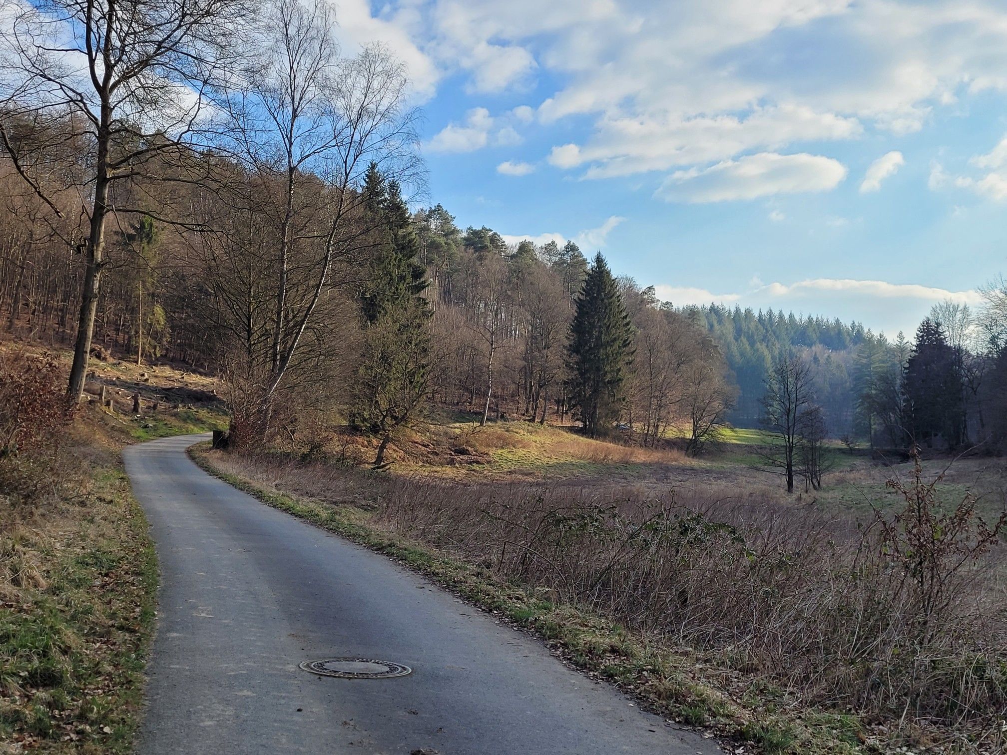 Hier ist ein kleines Stück Weg im Fockenbachtal asphaltiert.