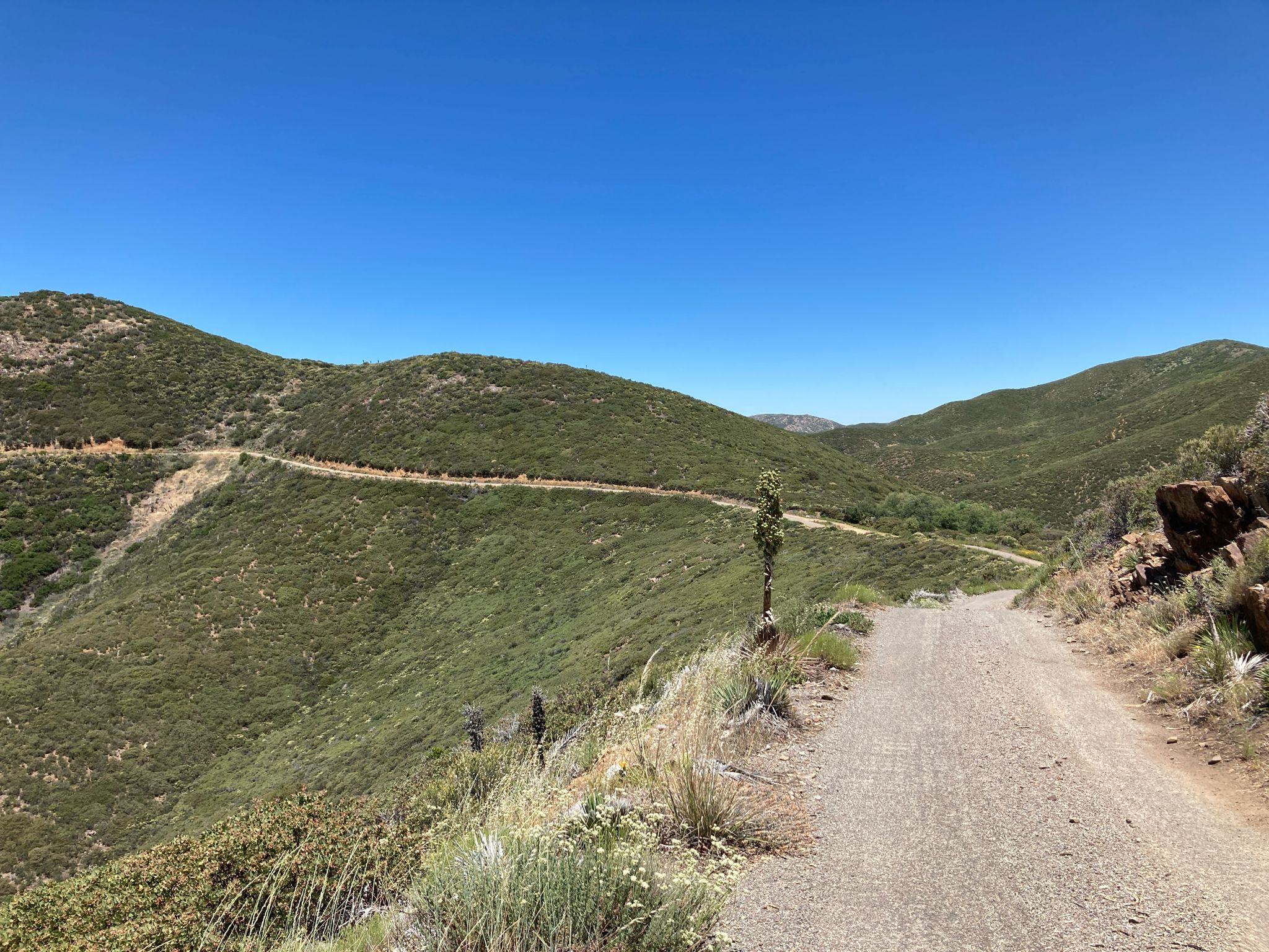 Winding dirt road on a steep, green hillside under a bright blue sky. - Noble Canyon Loop