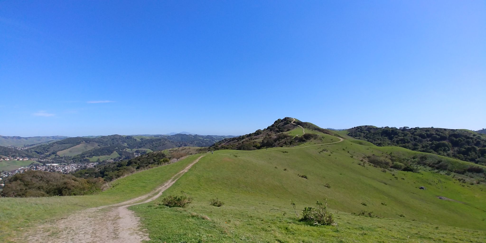 A dirt path winds up a vibrant green hill under a clear blue sky. - 360-degree viewpoint – Belgum Trail loop from East Richmond Heights
