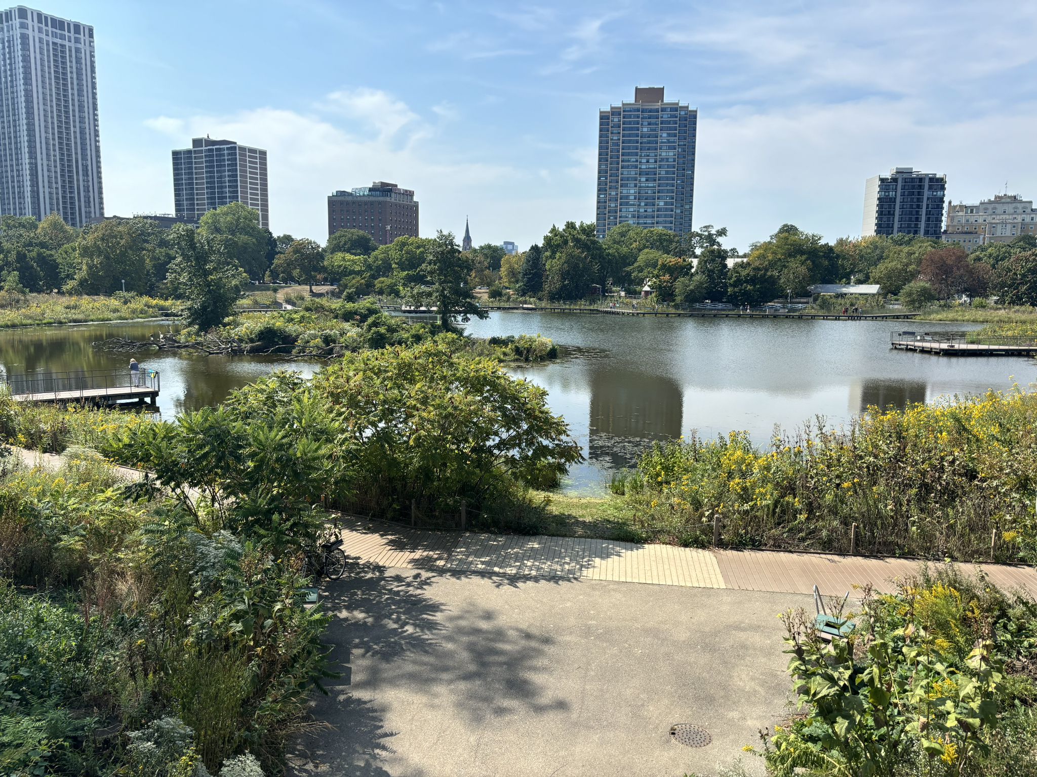 Calm lake surrounded by green foliage, with a distant city skyline. - Lincoln Park and Lakefront Trail Loop