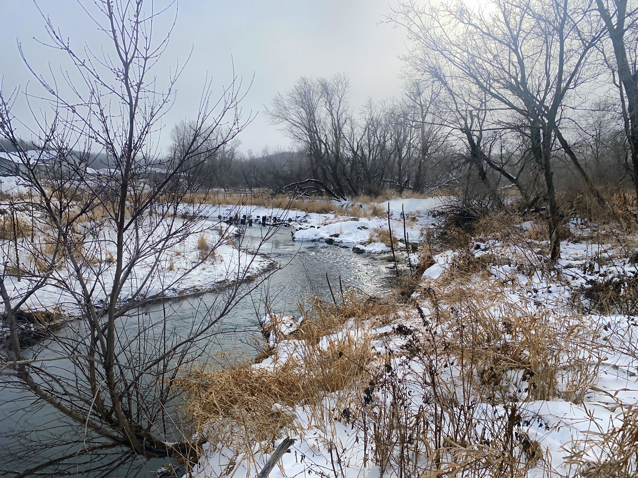 Winding river through snowy, bare winter landscape under an overcast sky. - Decorah, Iowa – Trout Run Loop loop from Decorah