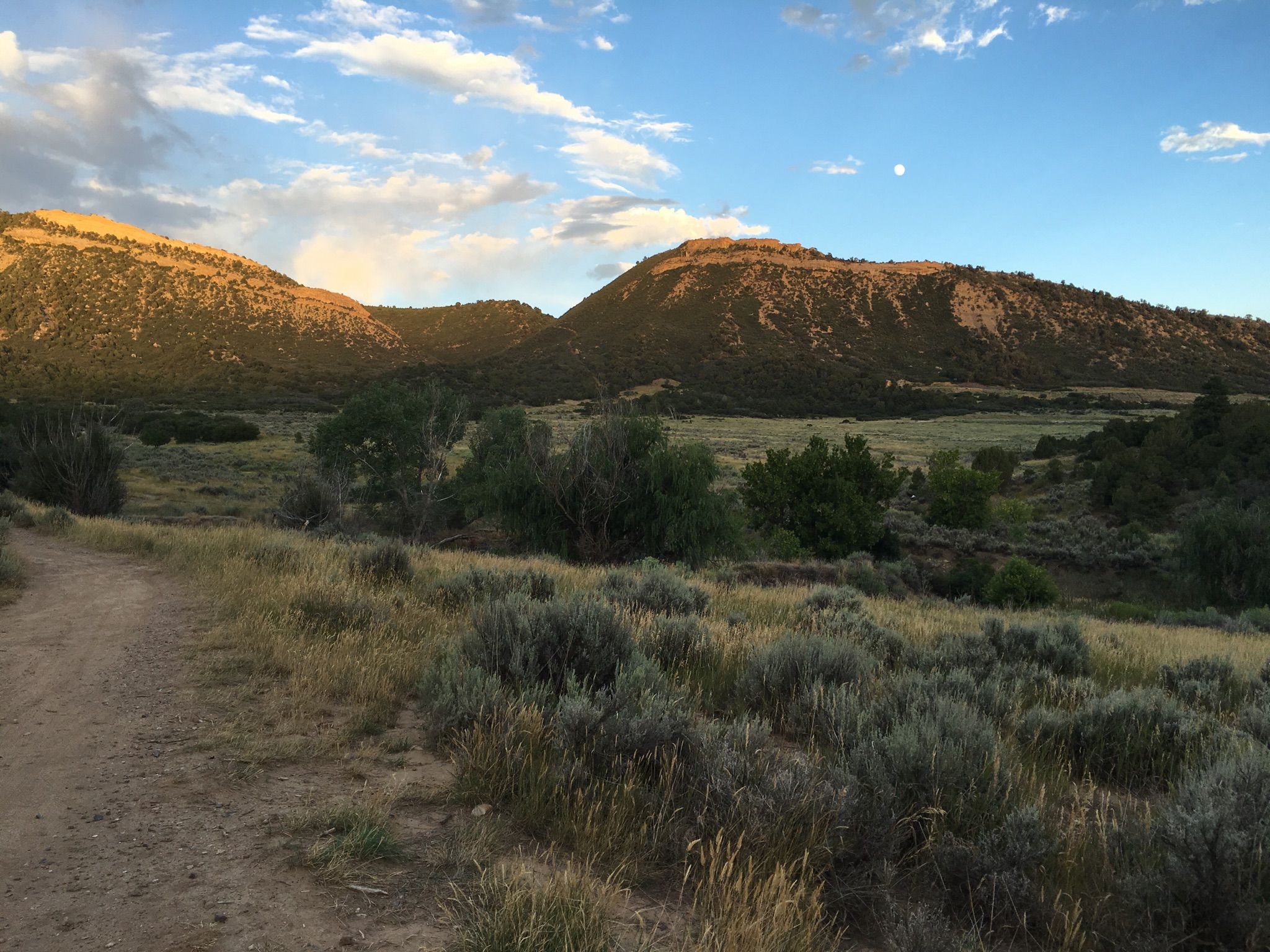 A dirt path in a valley with sunlit mountains and green foliage at sunset. - Horse Gulch Trailhead – Horse Gulch Road loop from Durango & Silverton Narrow Gauge Railroad