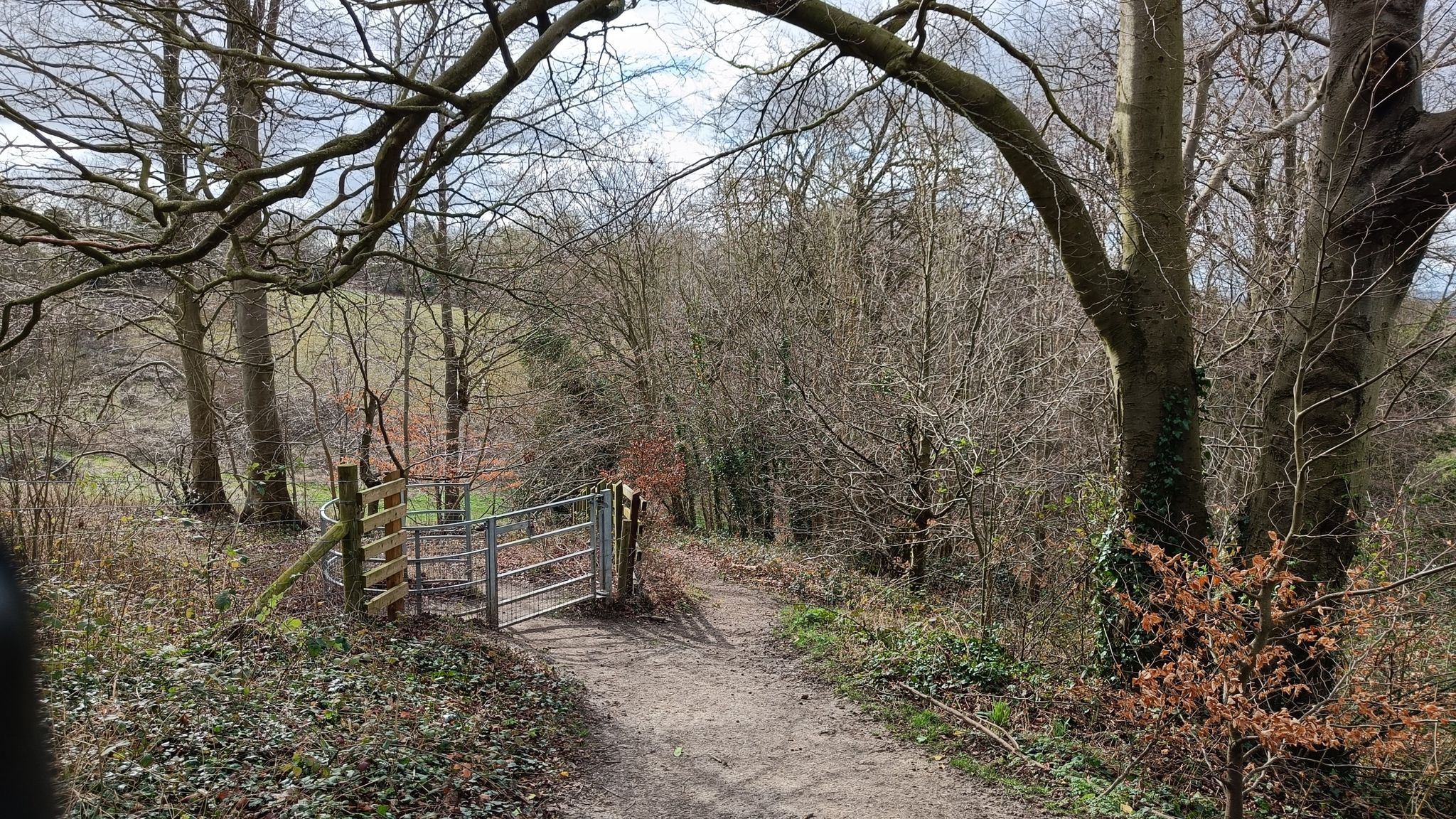 Barton Hills nature reserve
