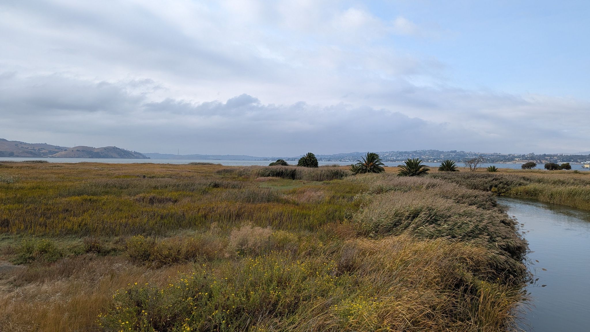 Expansive marshland with a narrow waterway under a cloudy sky. - Martinez Pier – Martinez Regional Shoreline loop from Martinez