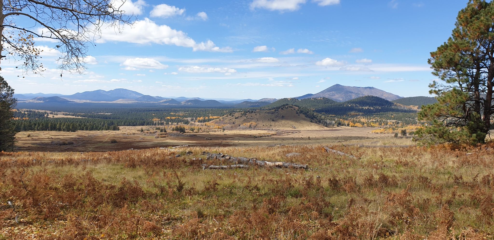 Panoramic view of a vast, dry landscape with distant mountains under blue sky. - Arizona Trail: San Francisco Peaks