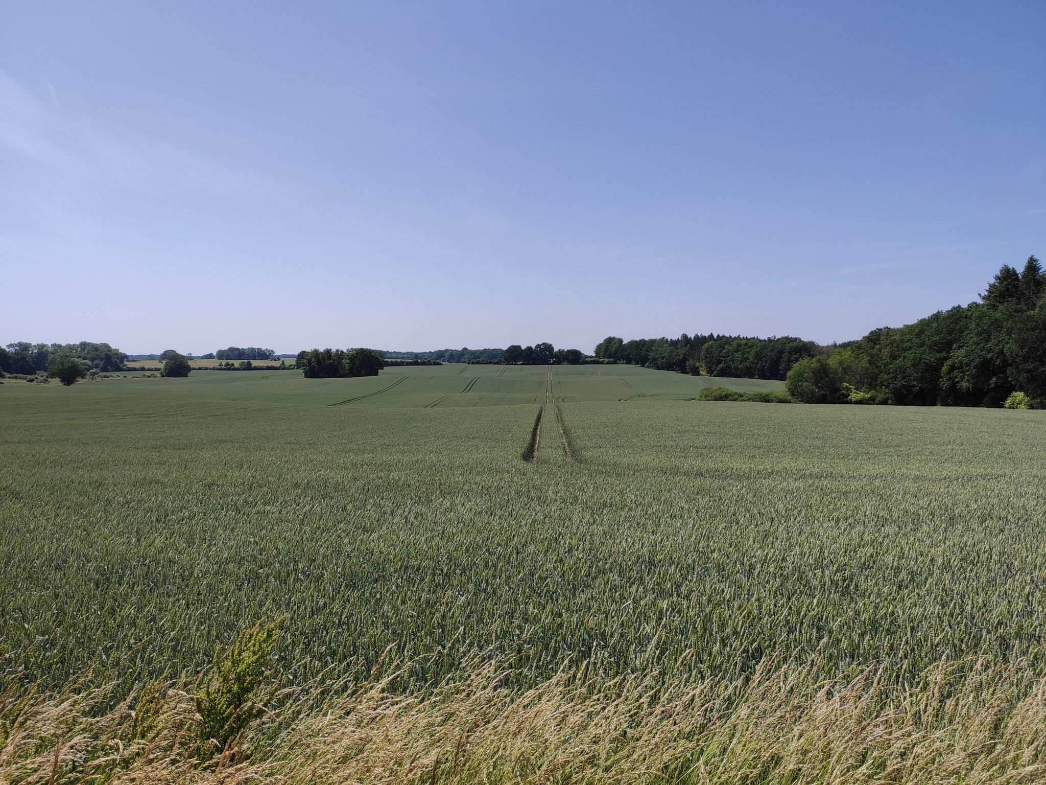 Die Landschaft ist wieder schön