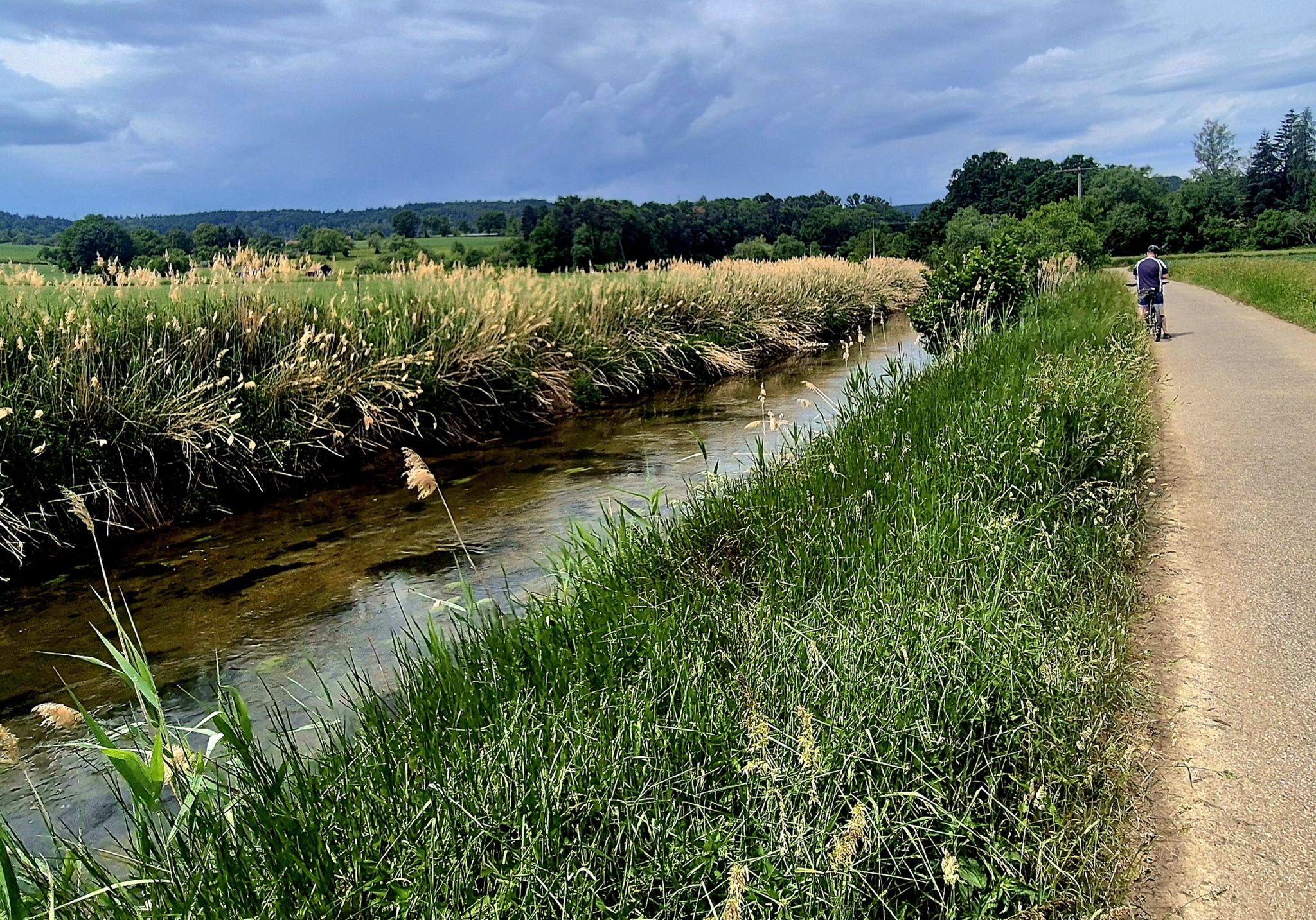 an der Würm entlang